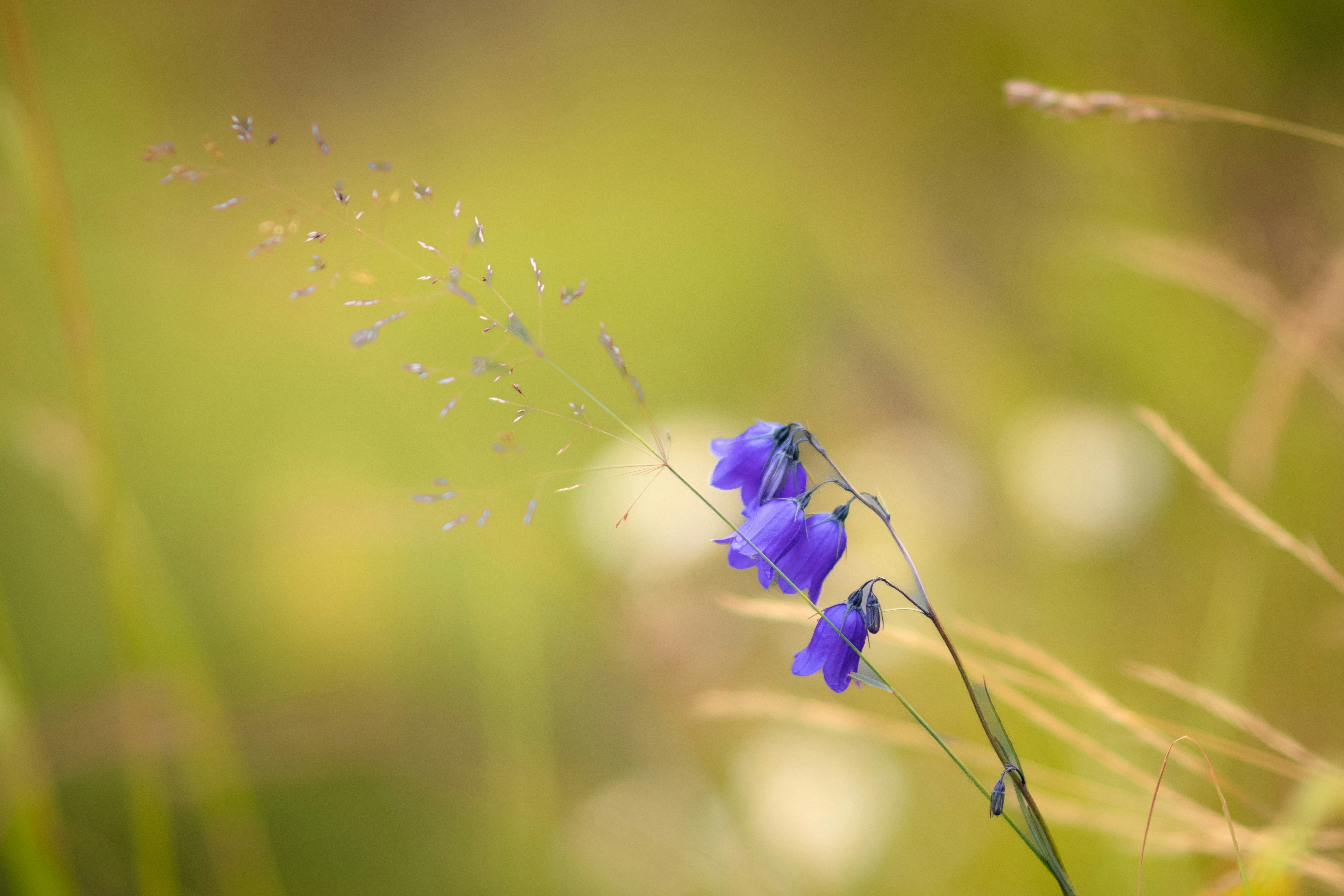 Photo by sevencolors