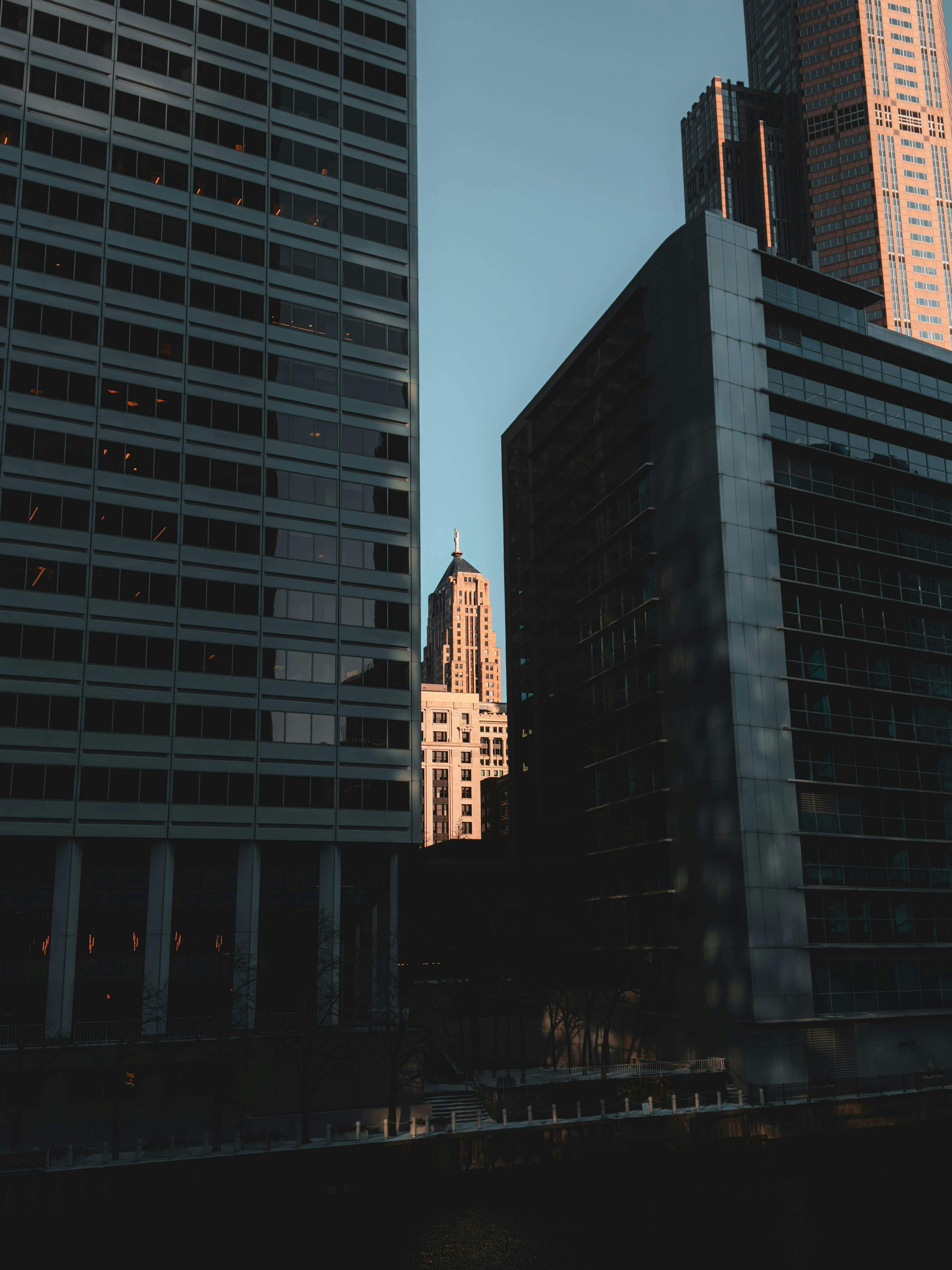 Photo by allenboguslavsky