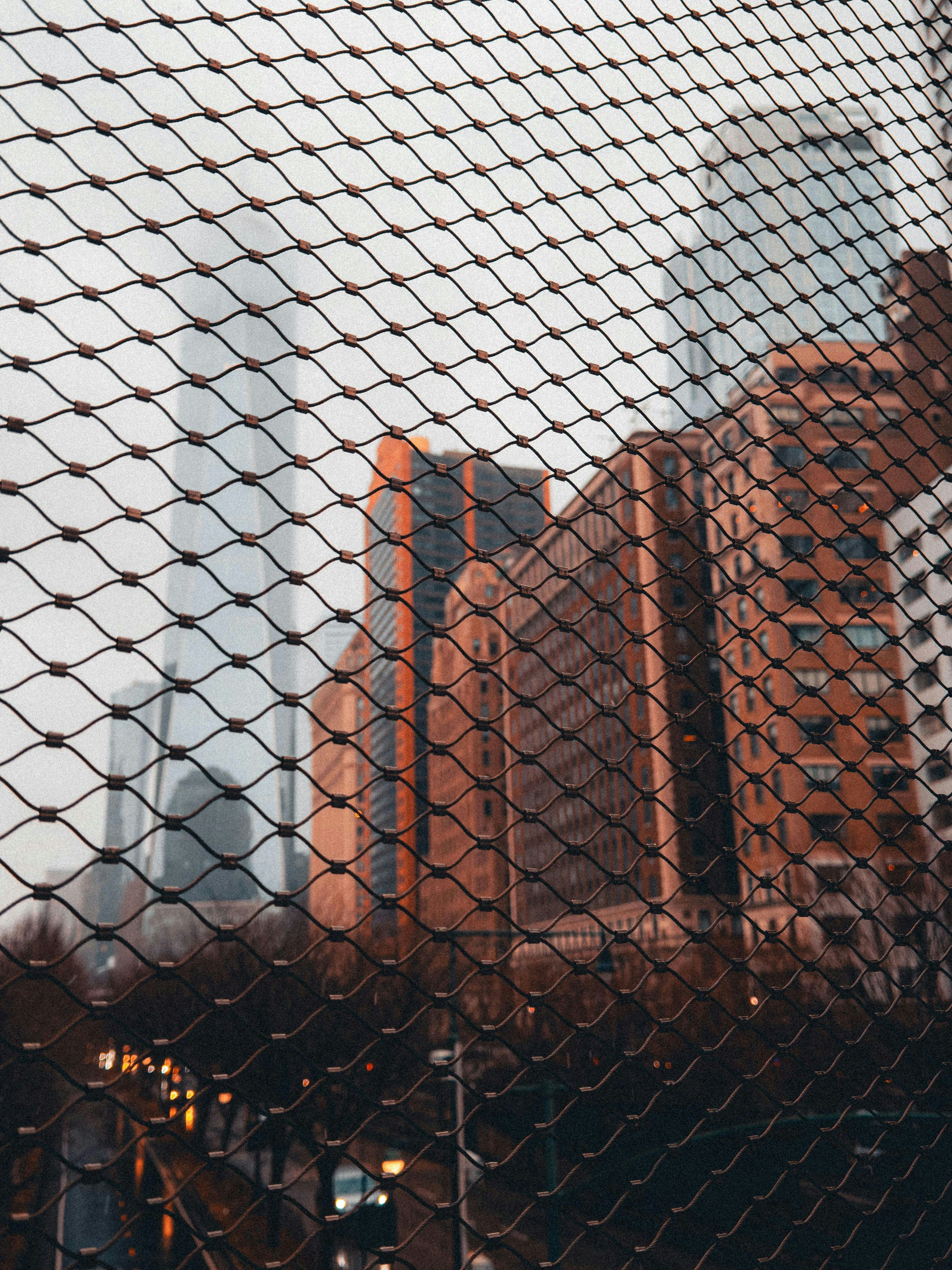 Photo by allenboguslavsky