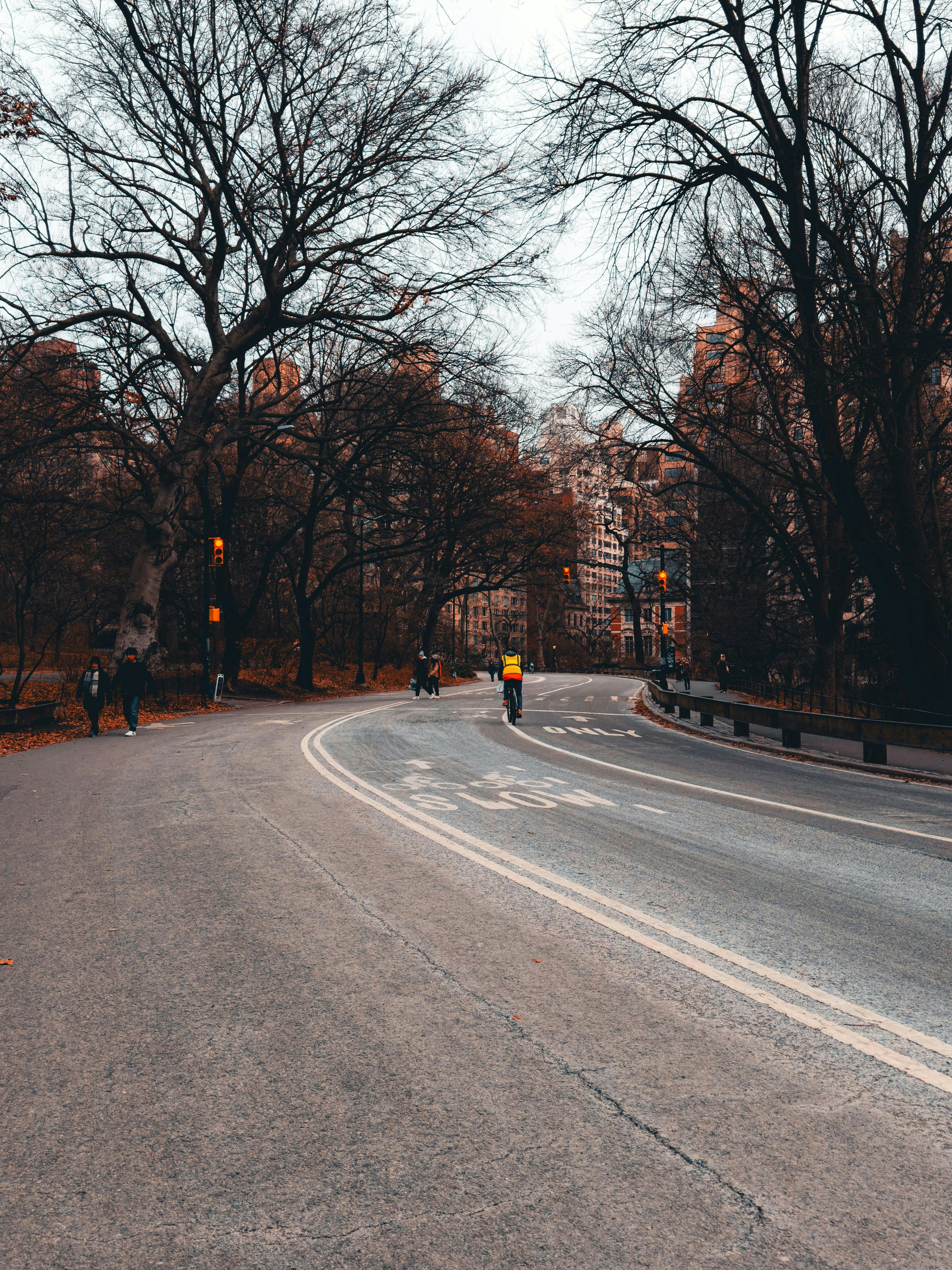 Photo by allenboguslavsky