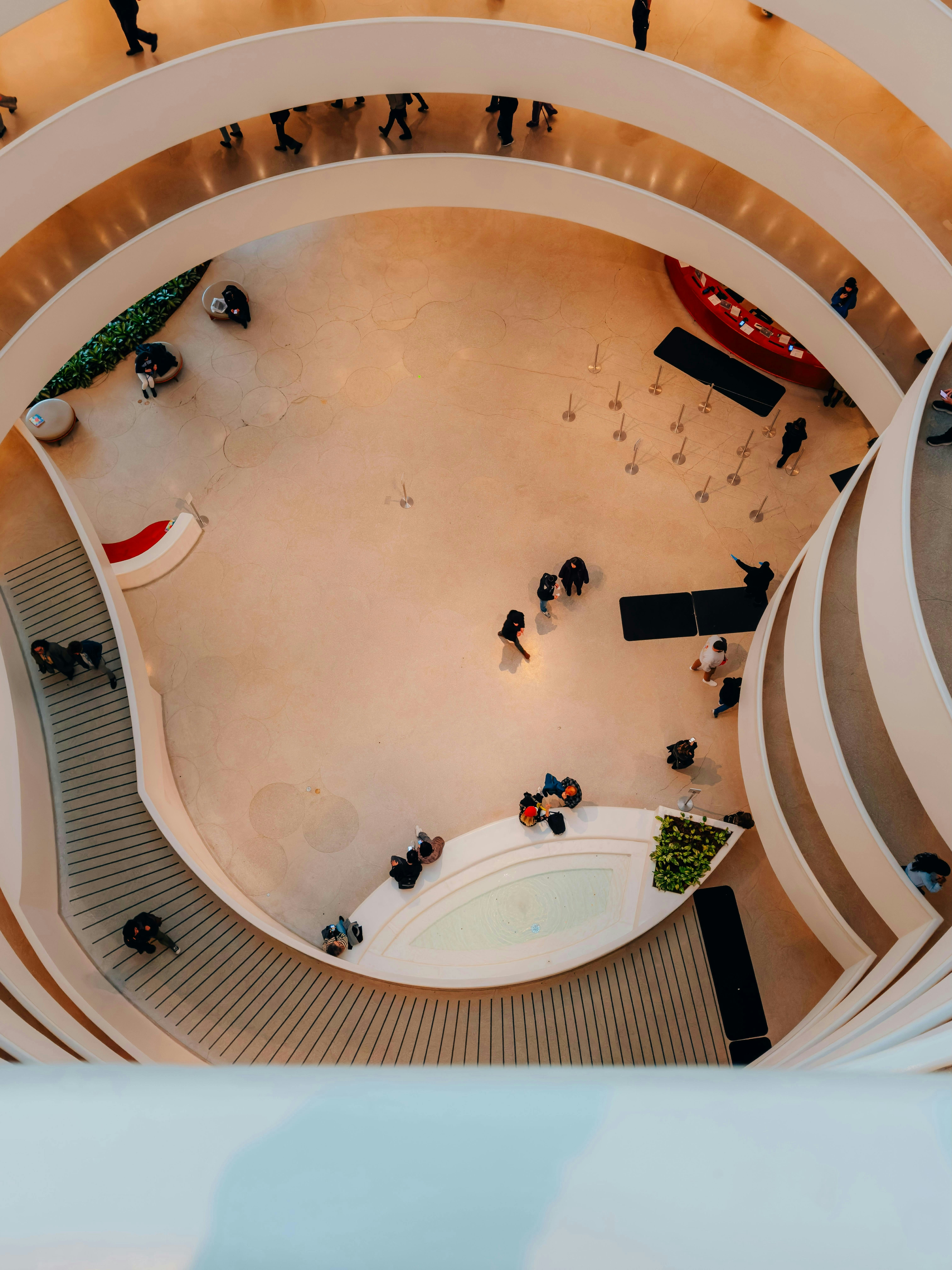 Photo by allenboguslavsky