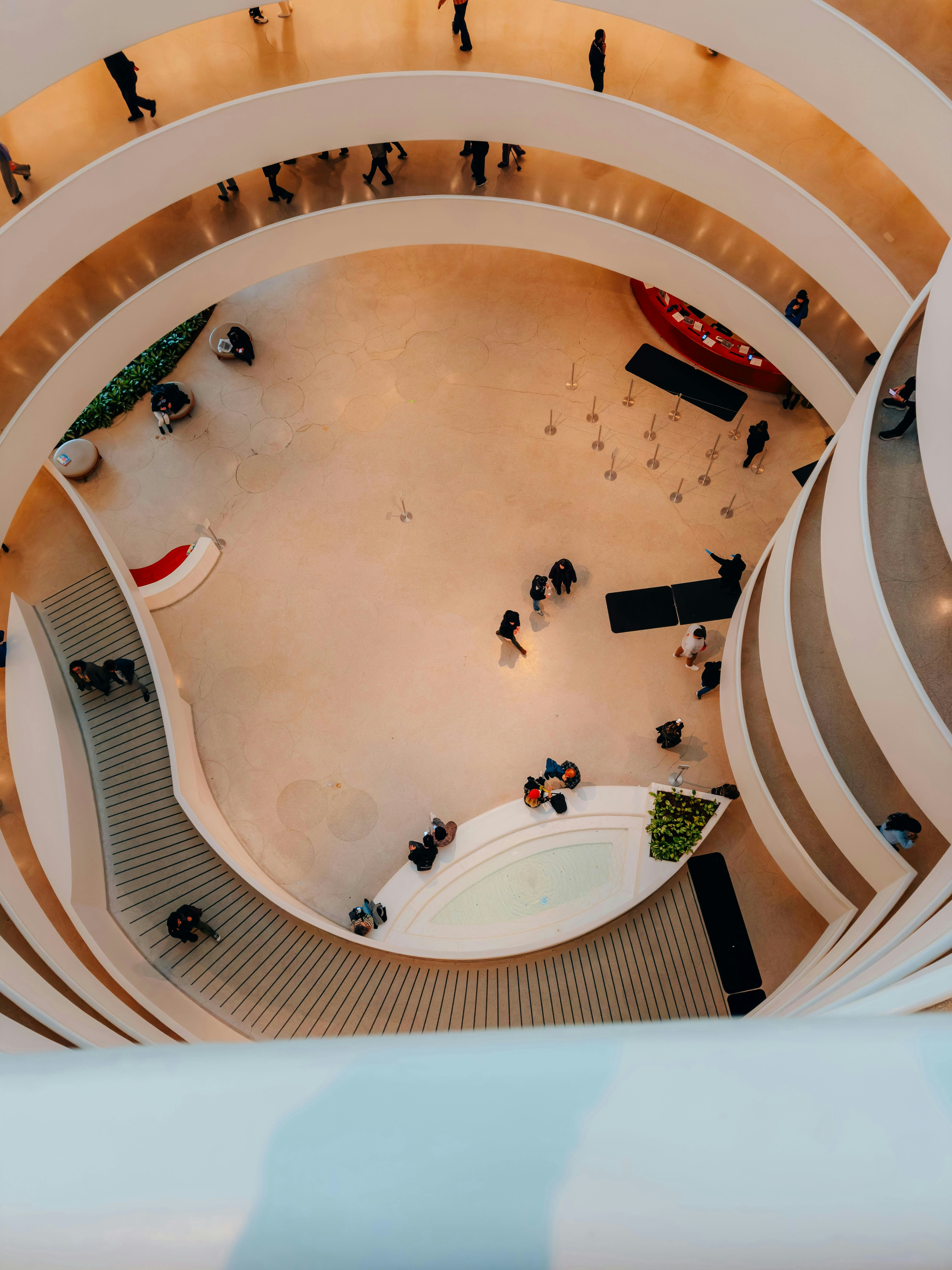 Photo by allenboguslavsky