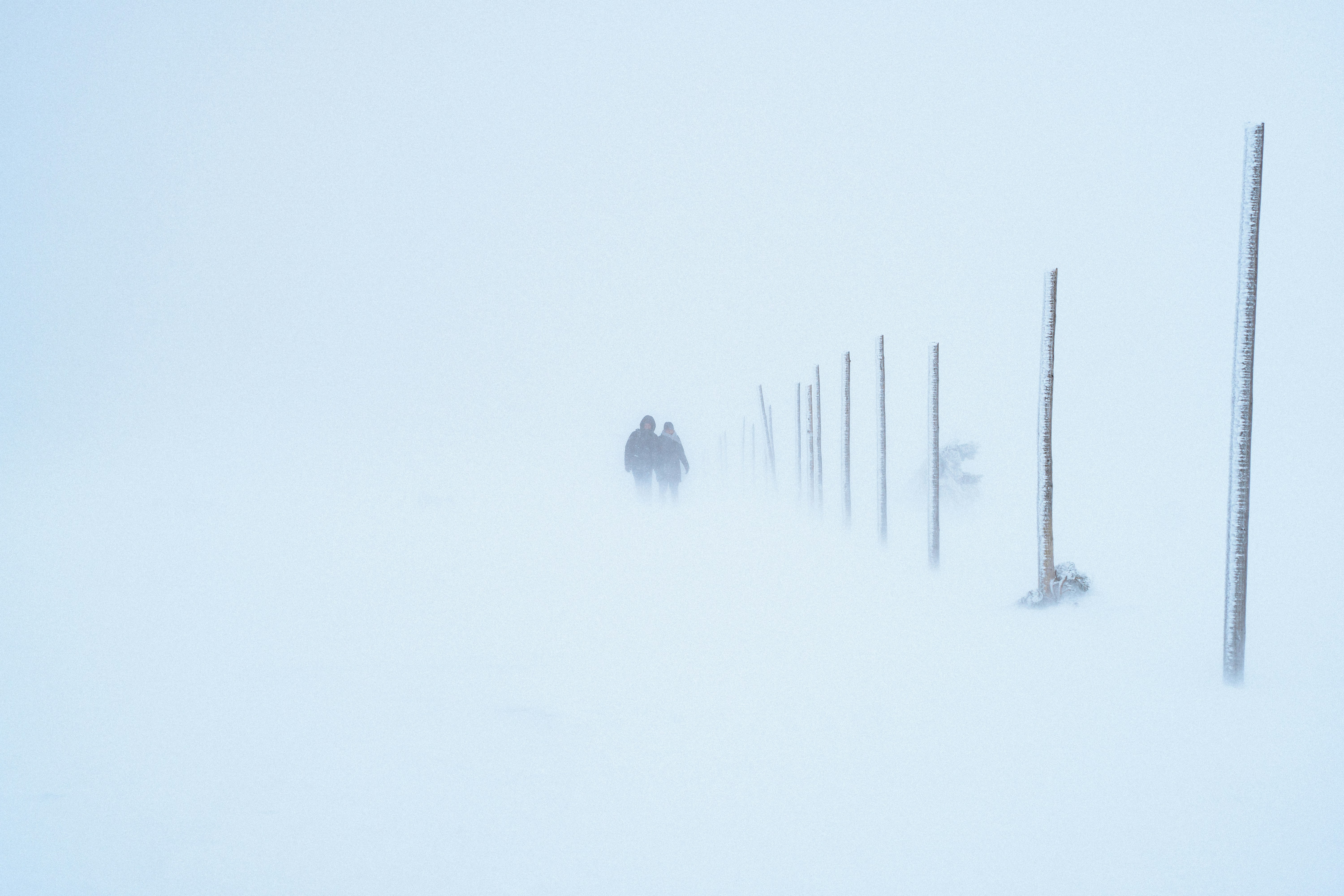 Photo by _marcinkempa_