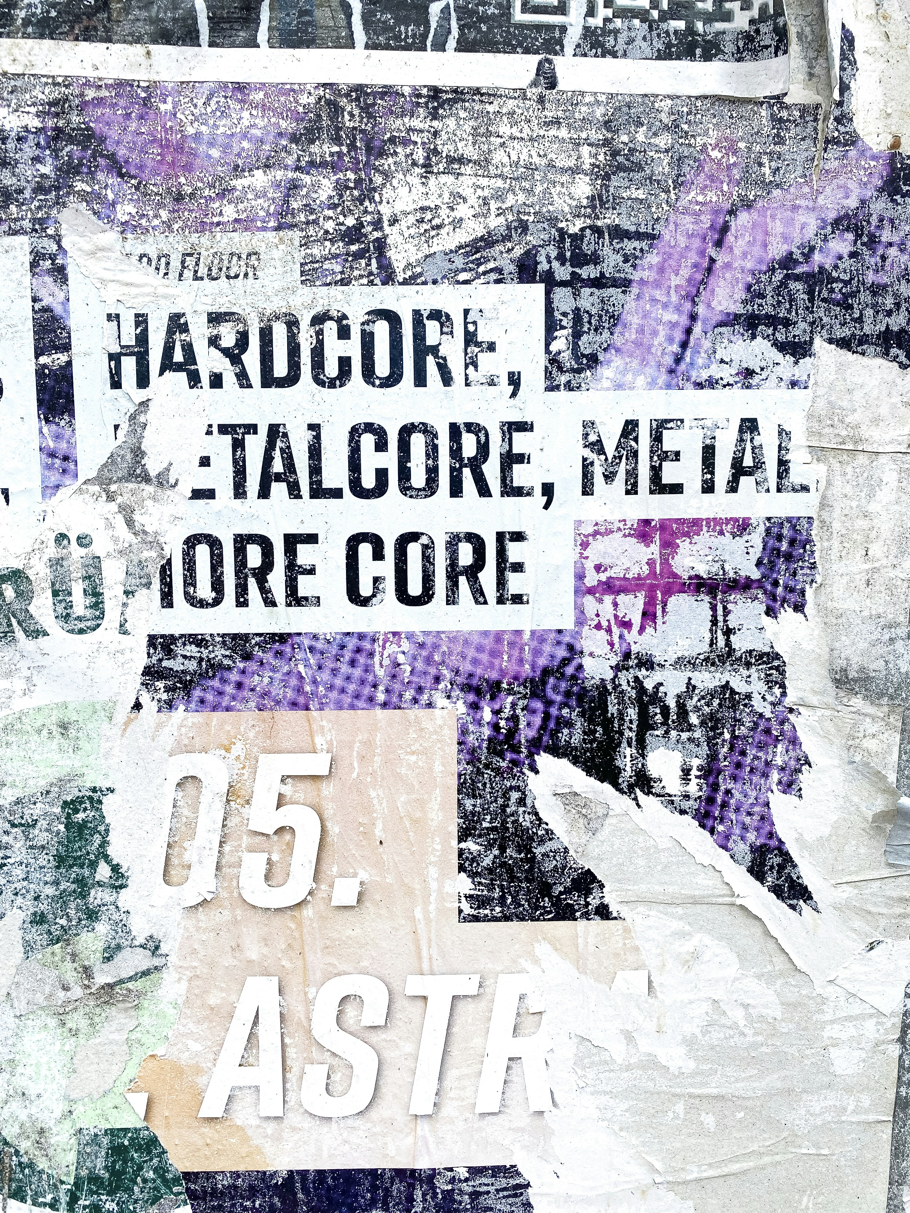 A collage of various signs and words on a wall