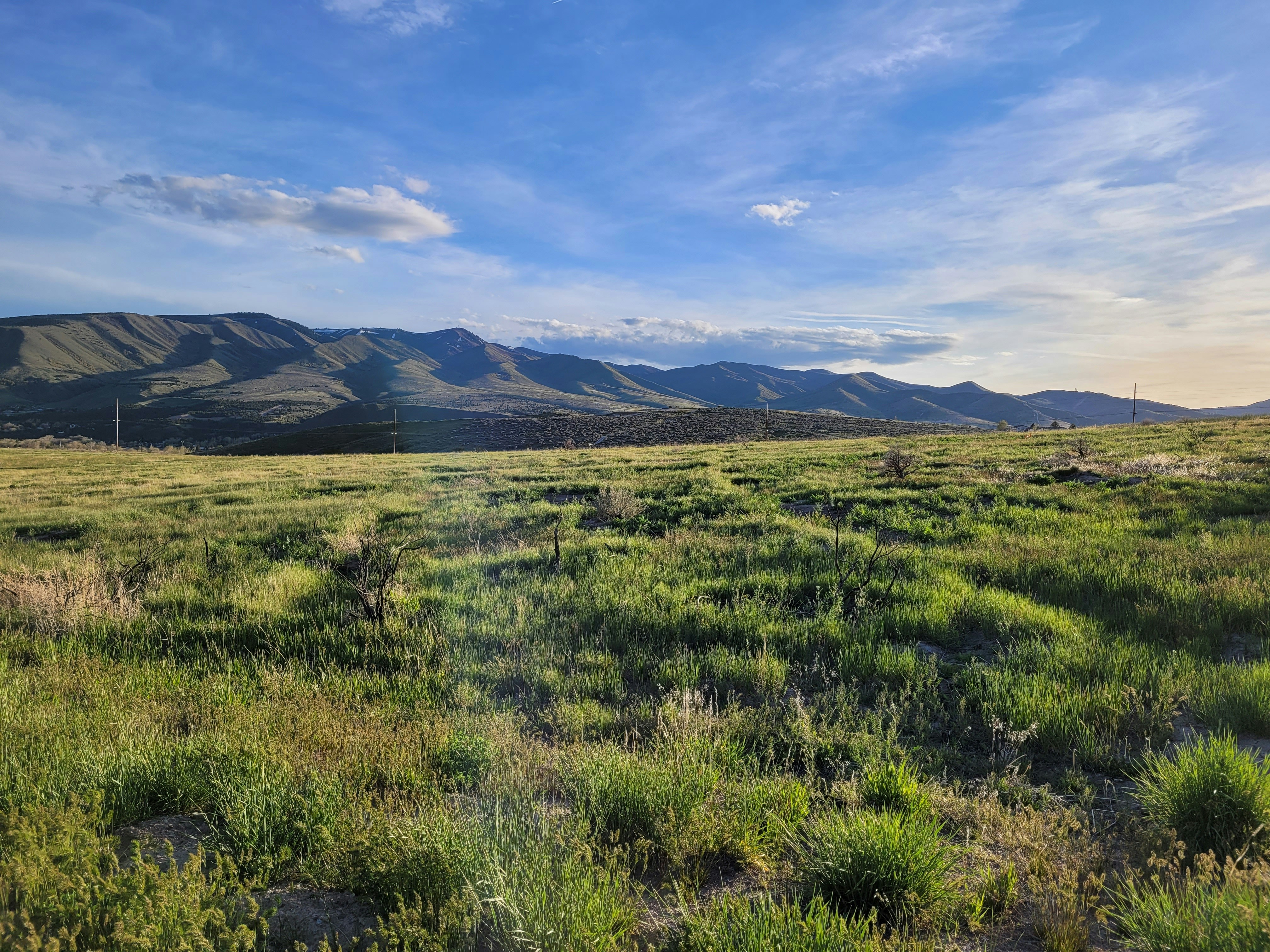 Photo by afrodeitiy6