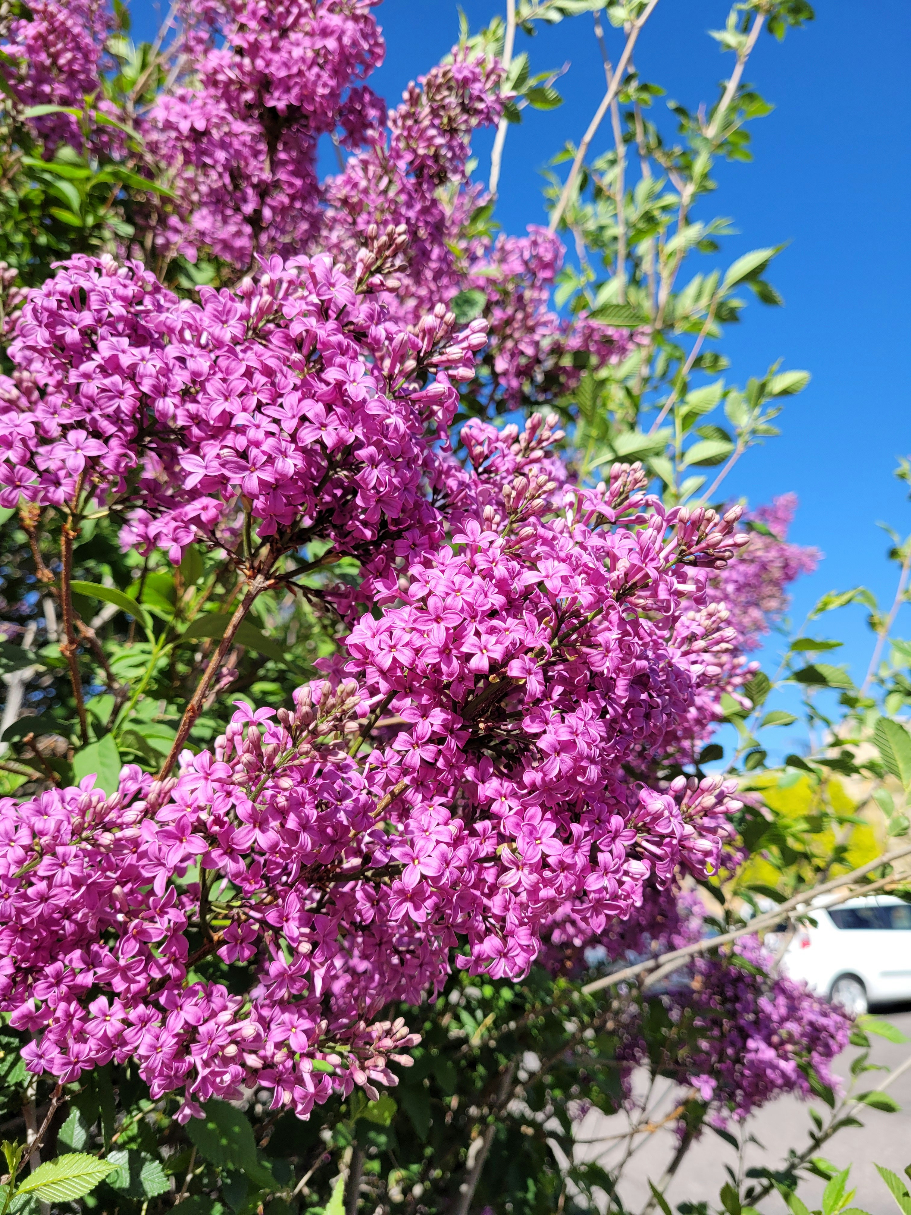 Photo by afrodeitiy6