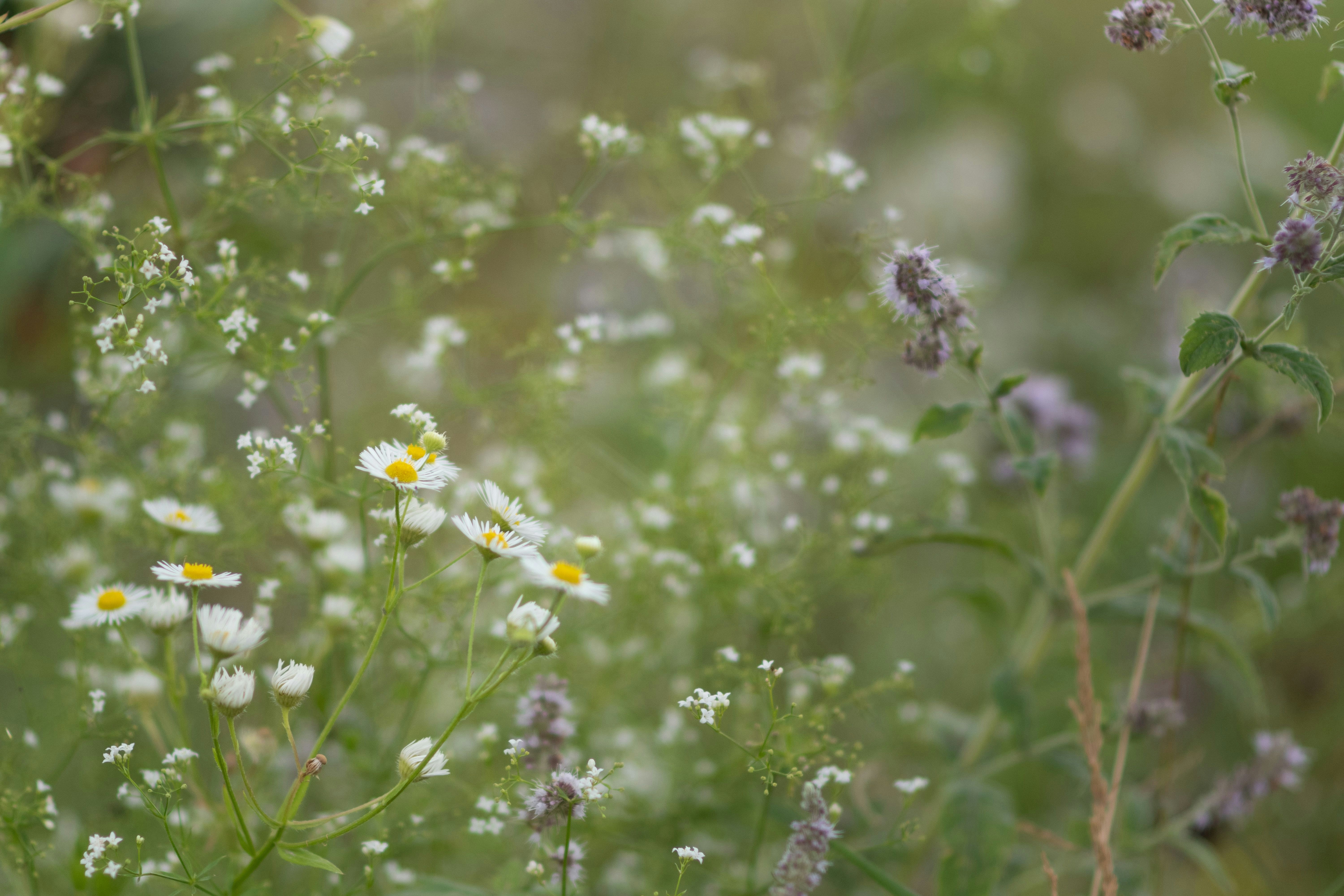 Photo by sevencolors