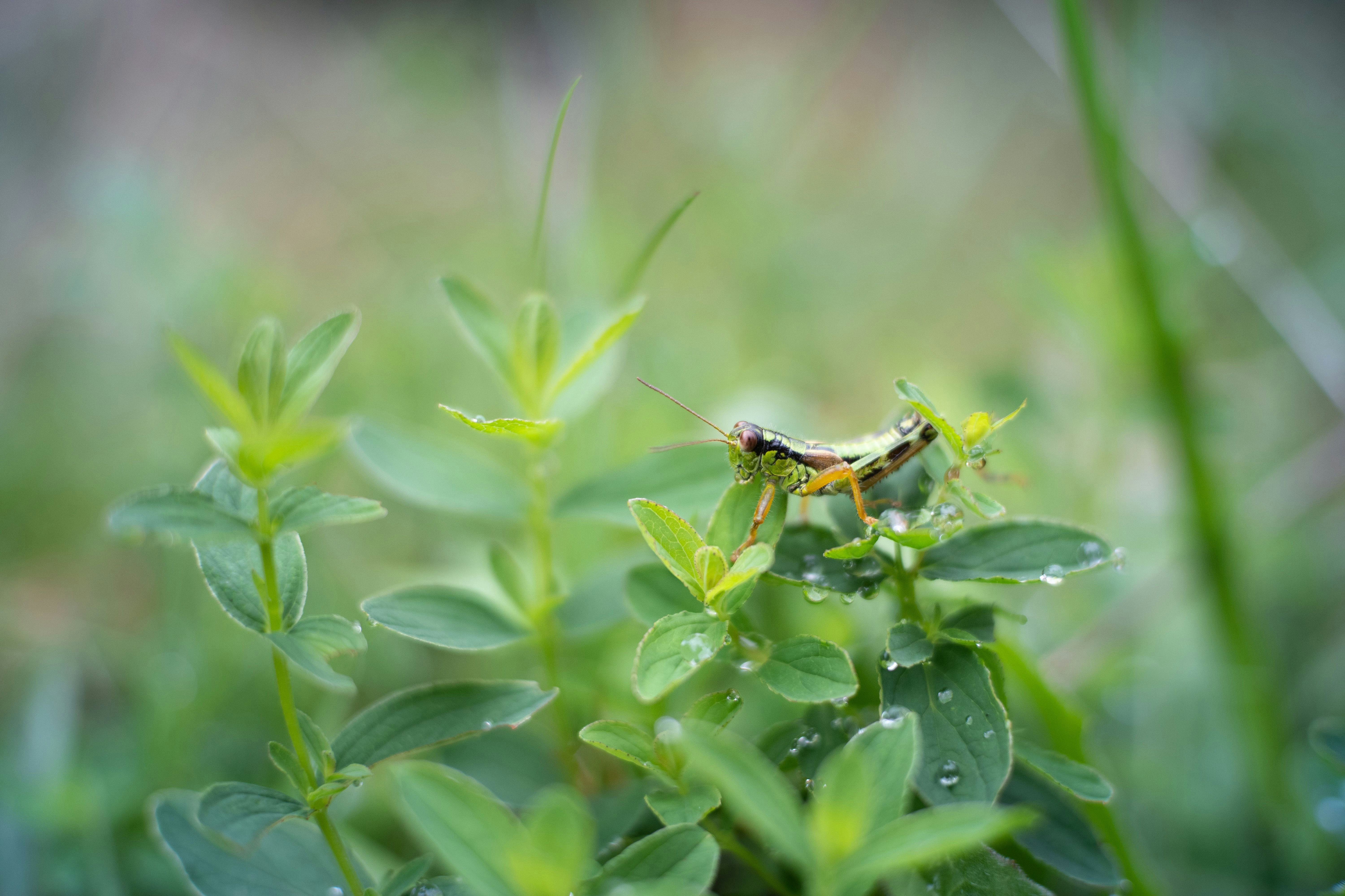 Photo by sevencolors