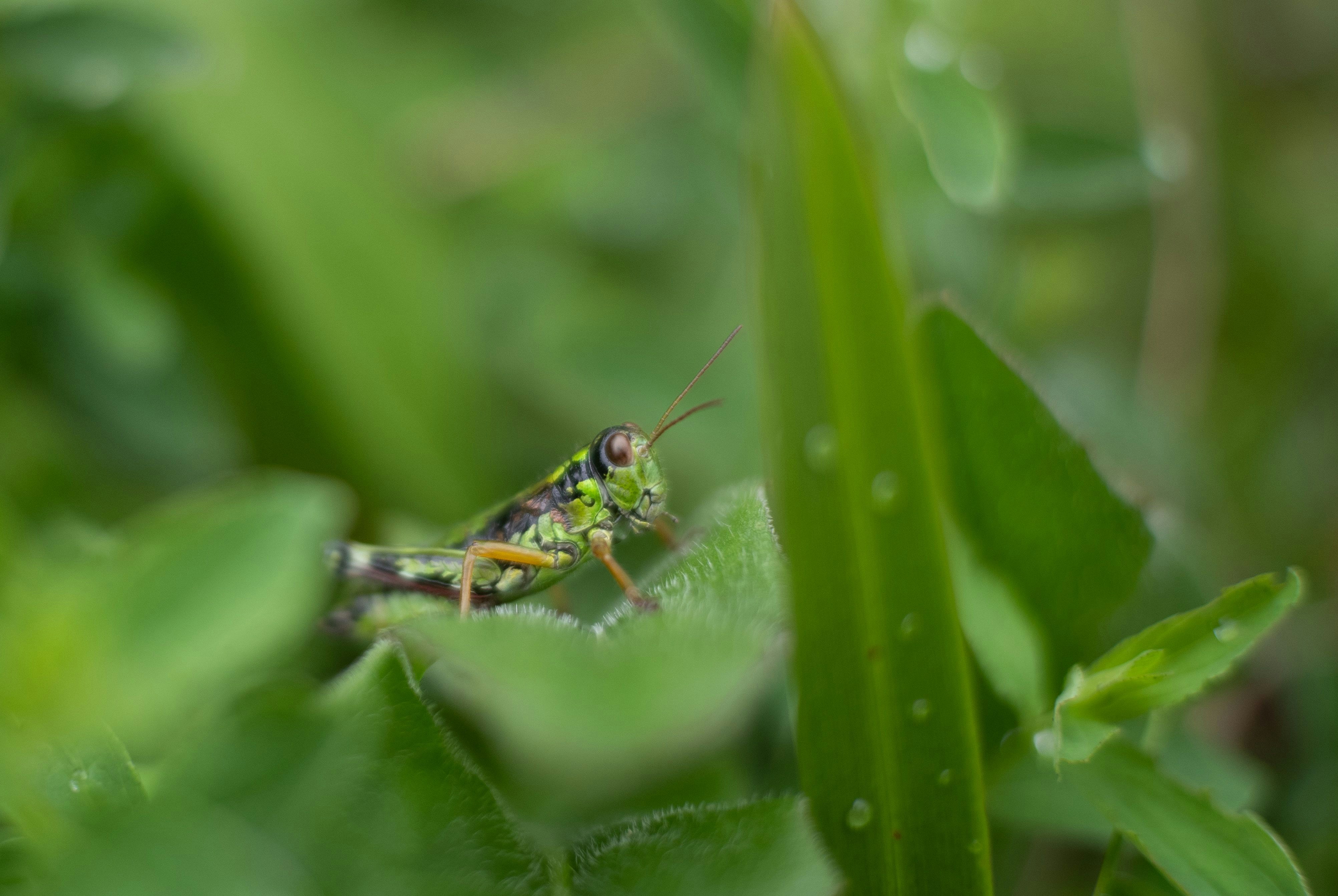 Photo by sevencolors