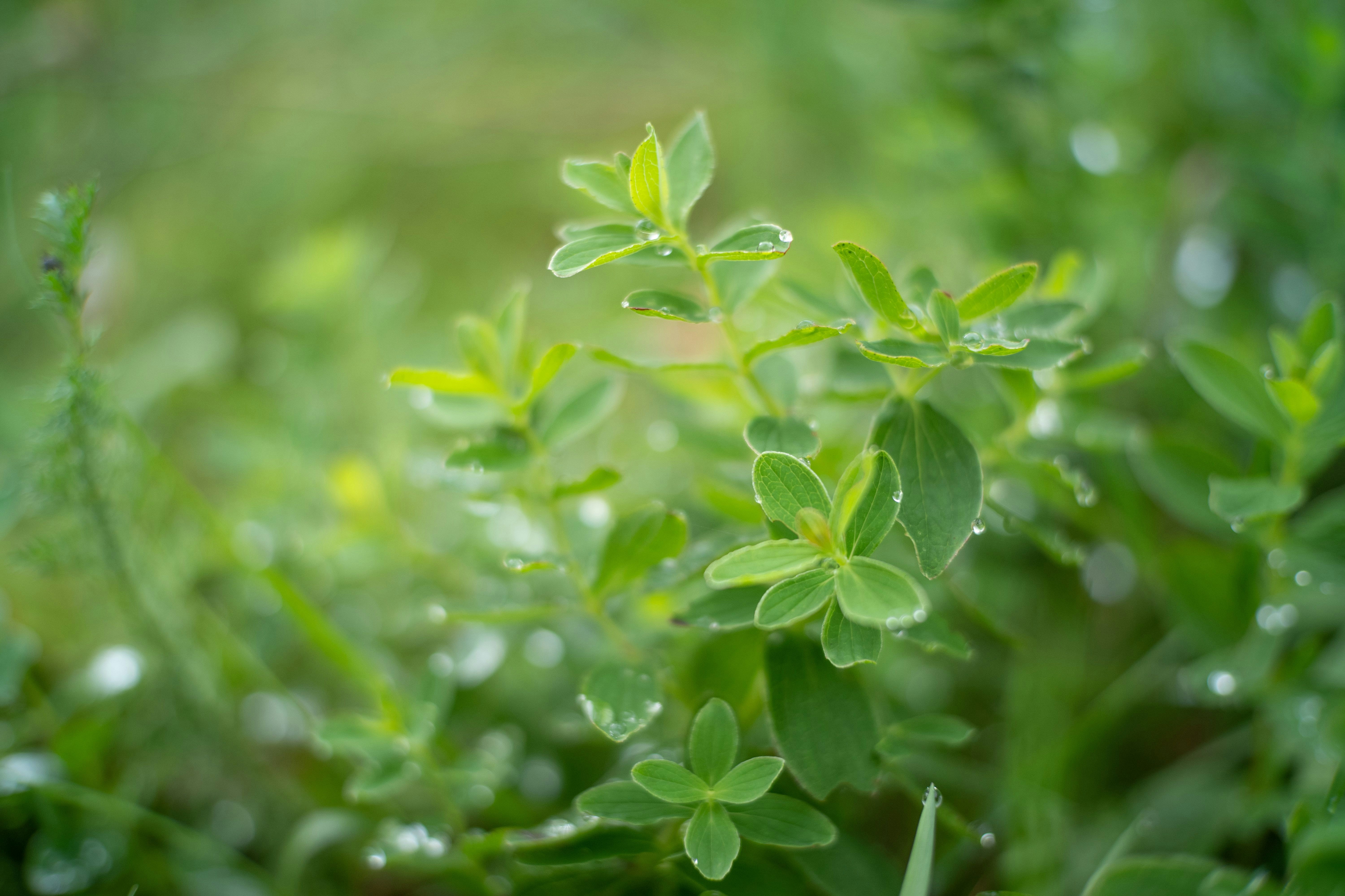 Looking to the Future: Innovation and Adaptation (image credits: unsplash)