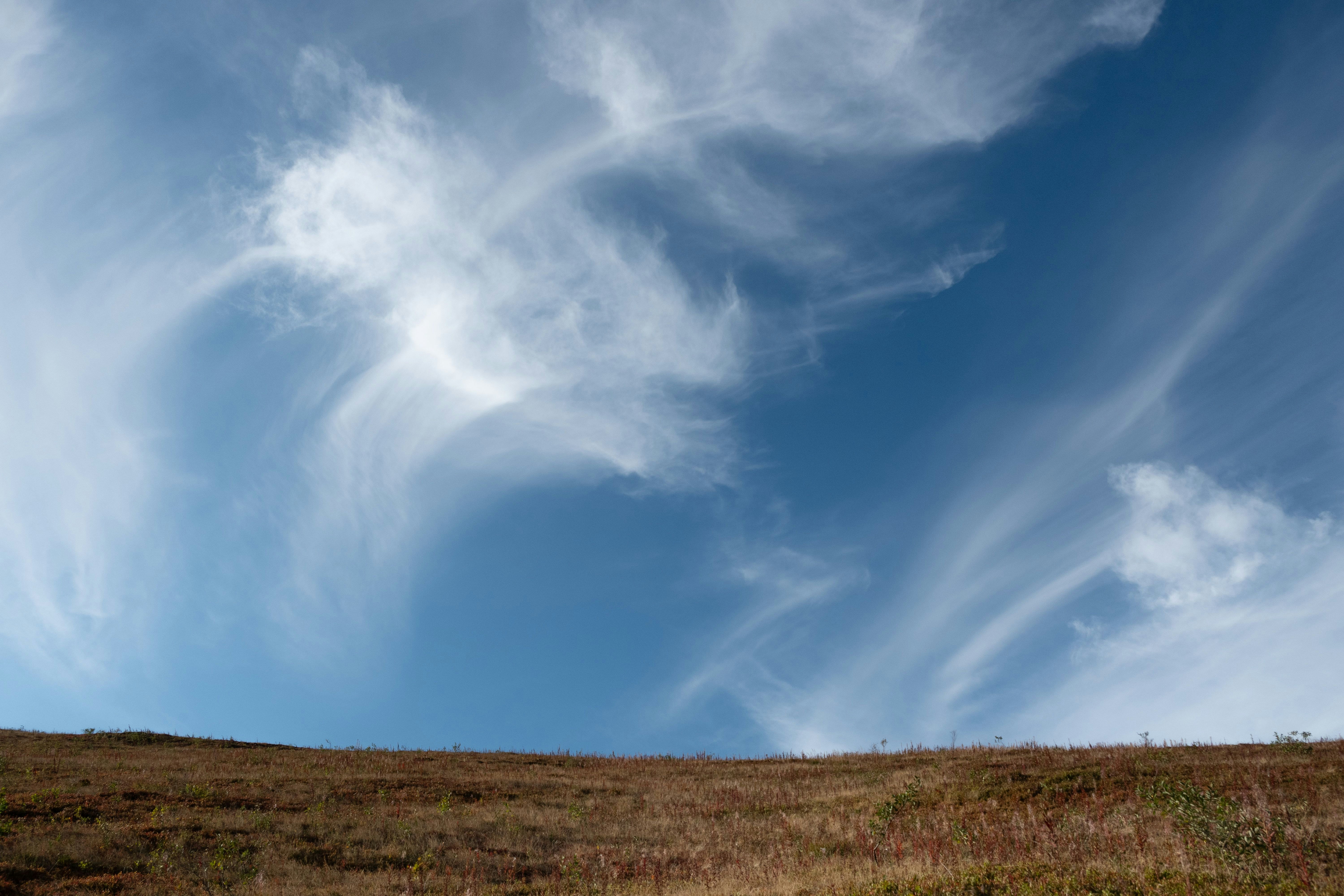 Photo by sevencolors