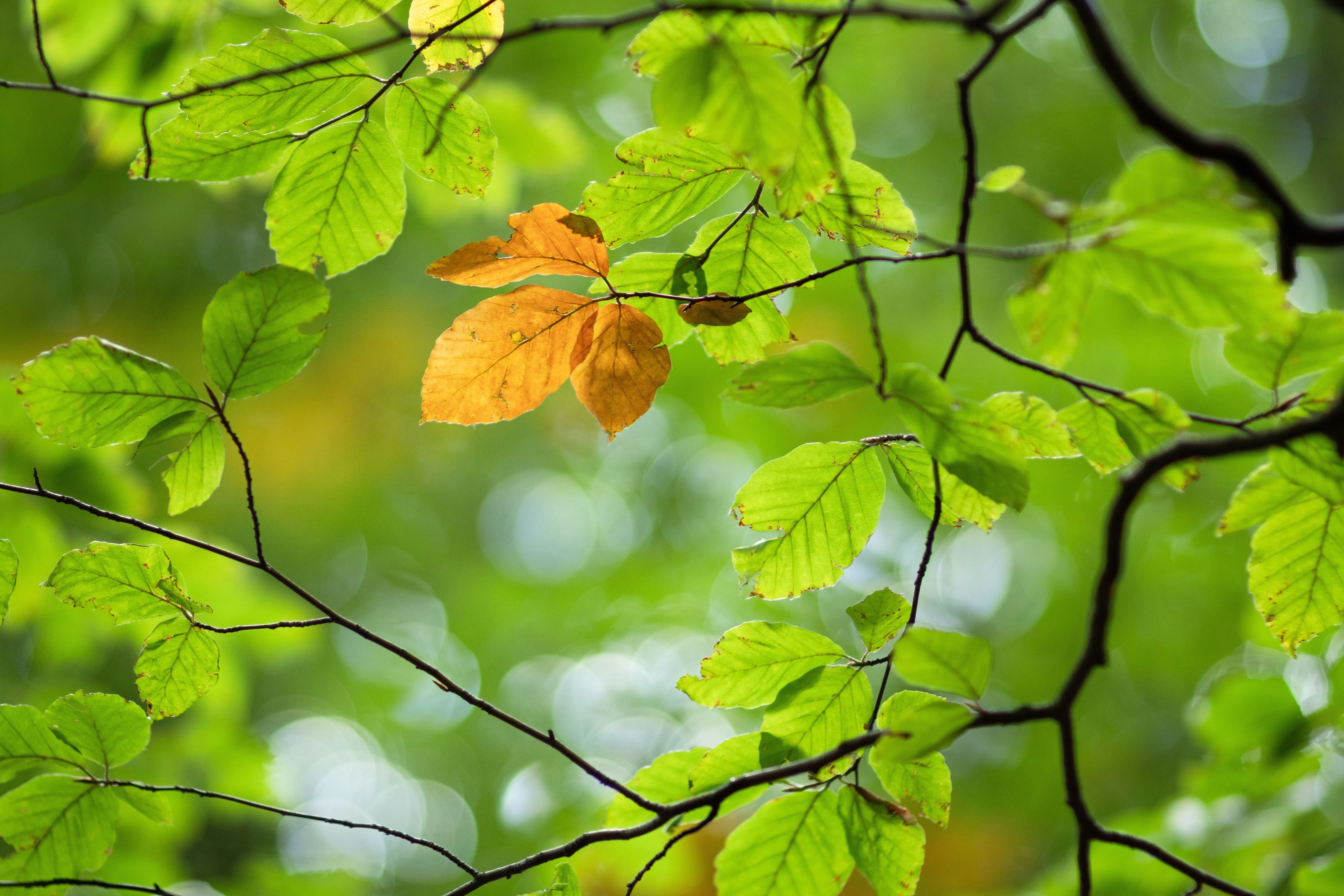 Photo by sevencolors