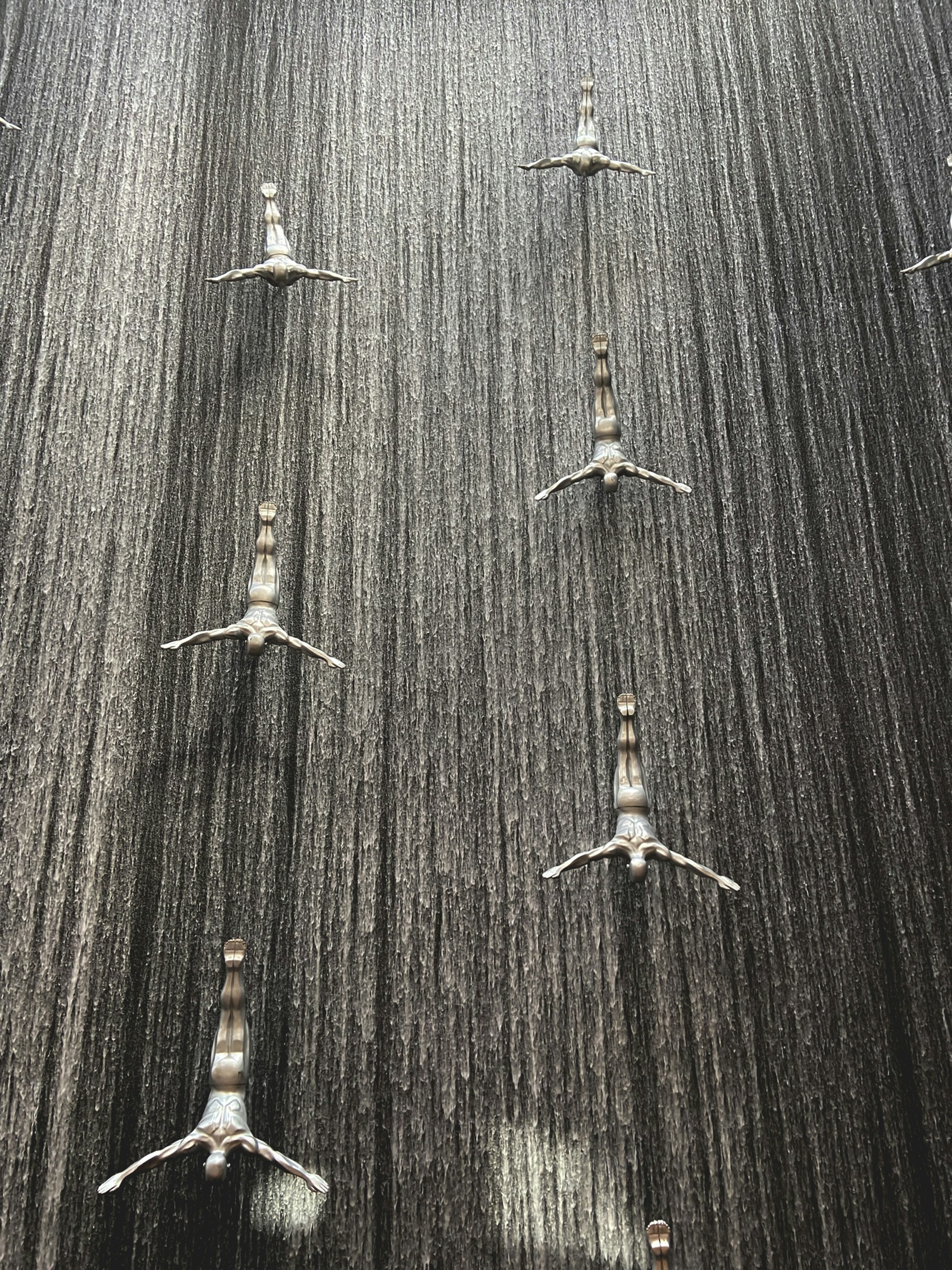 Un grupo de pájaros parados en la cima de un campo