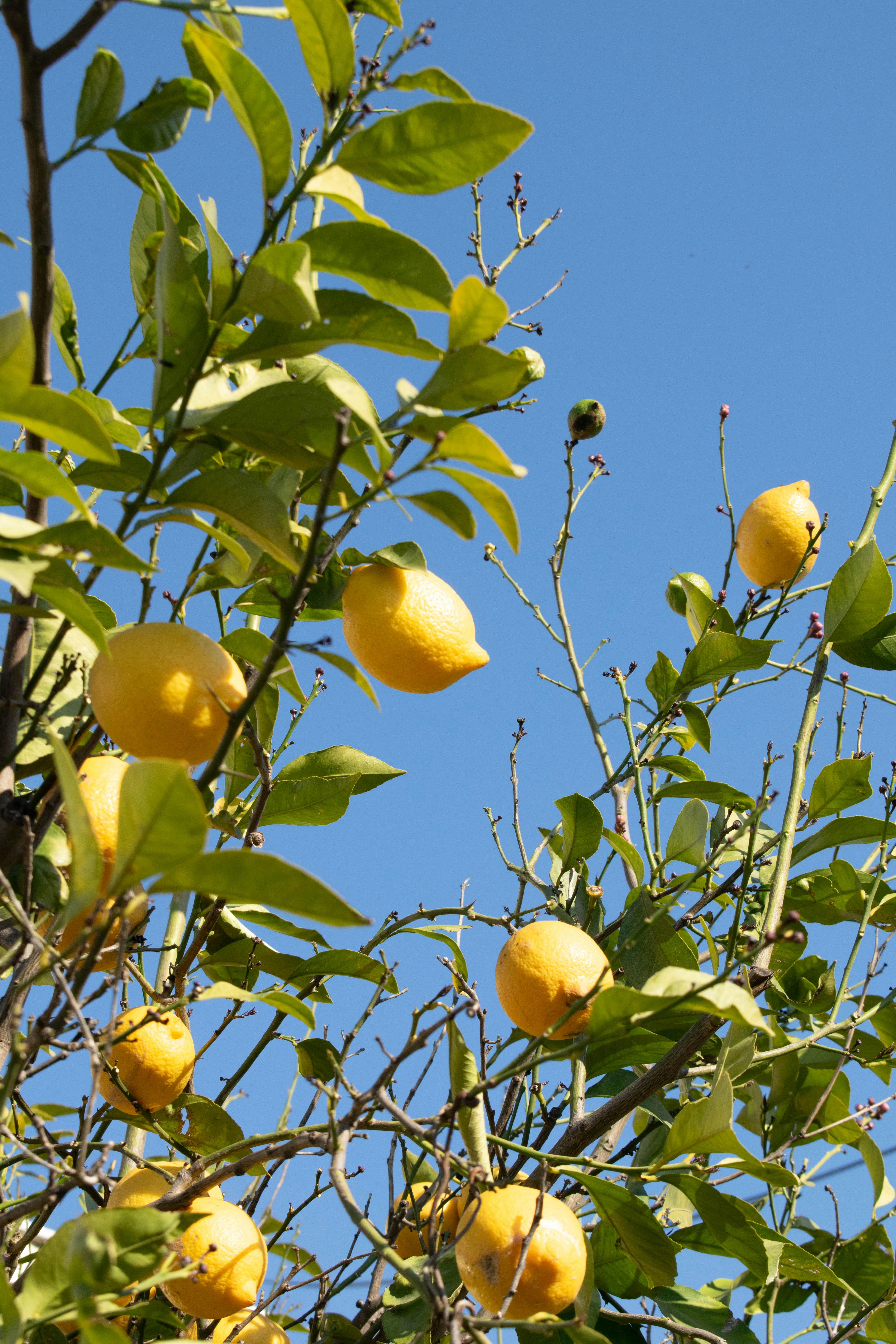 Photo by alexandre13