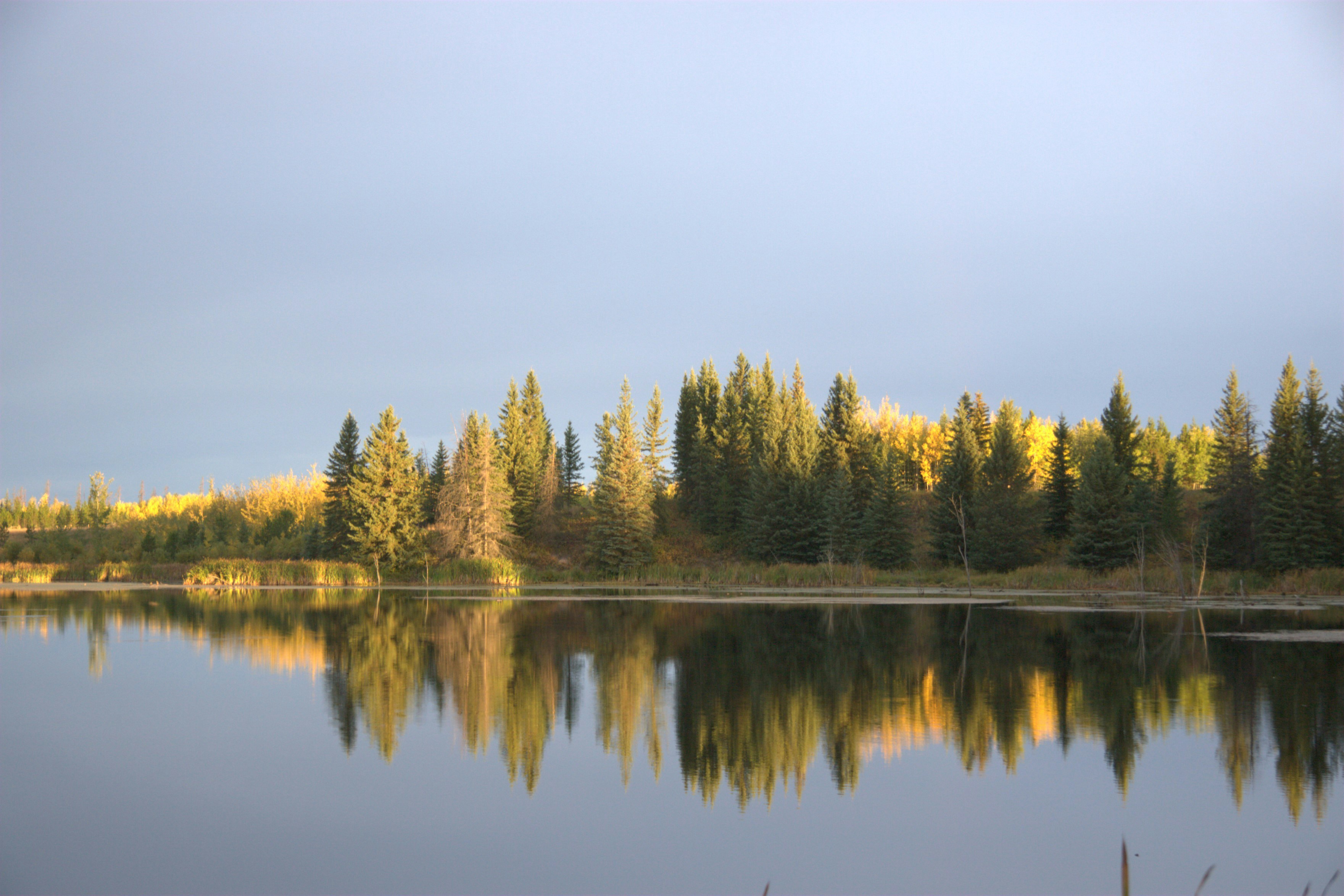 Photo by ernest_boyd