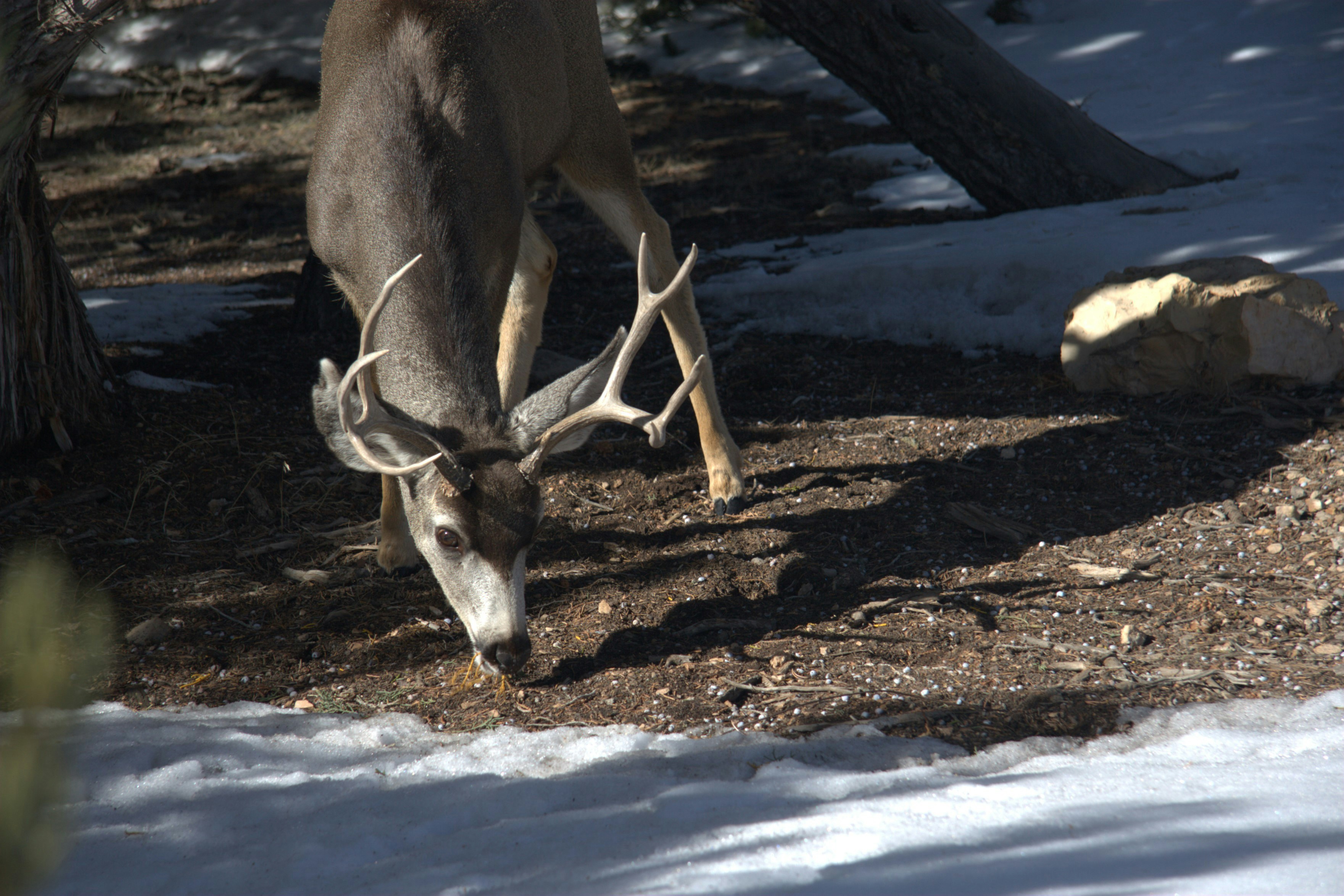 Photo by ernest_boyd