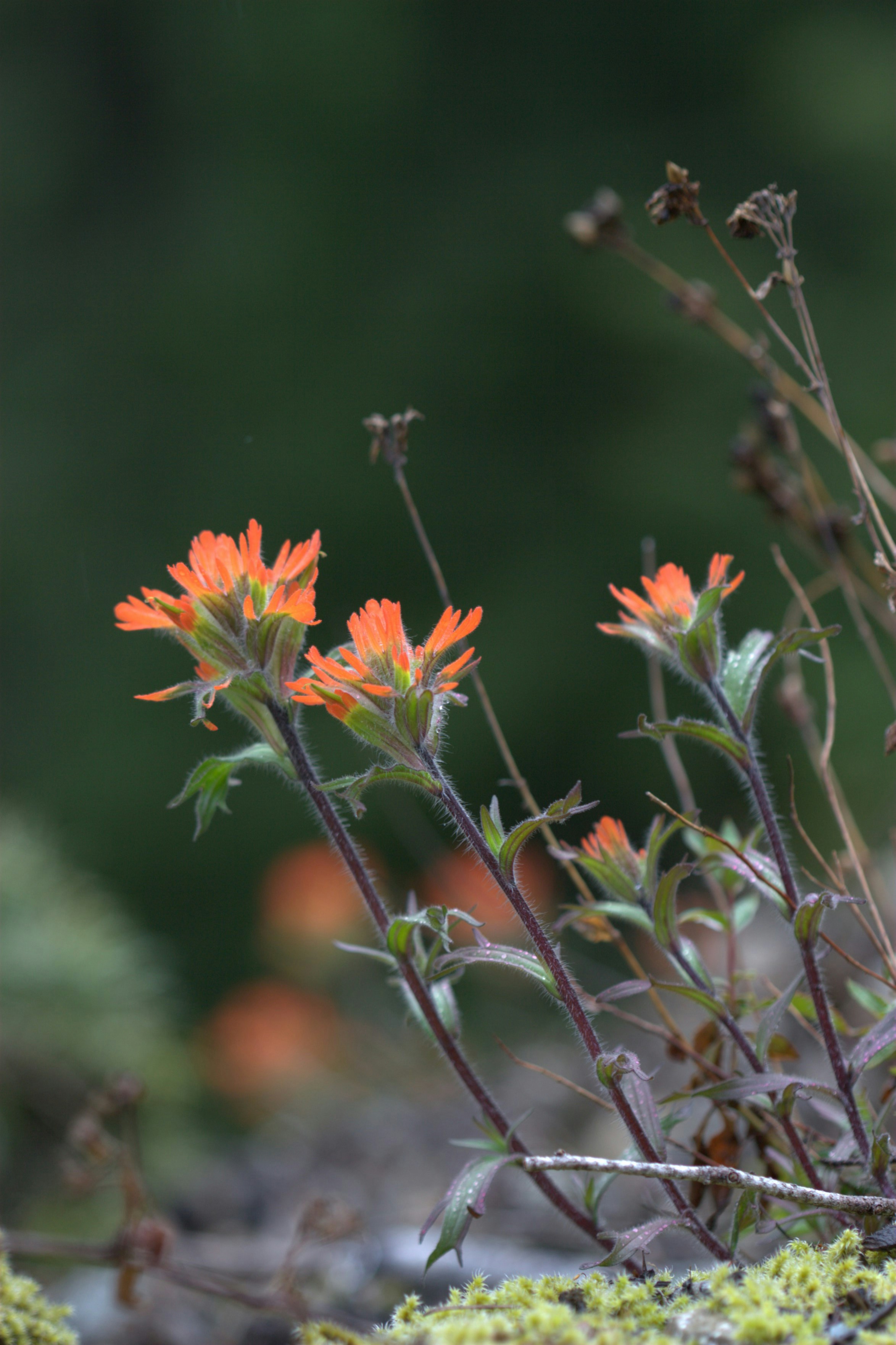 Photo by ernest_boyd