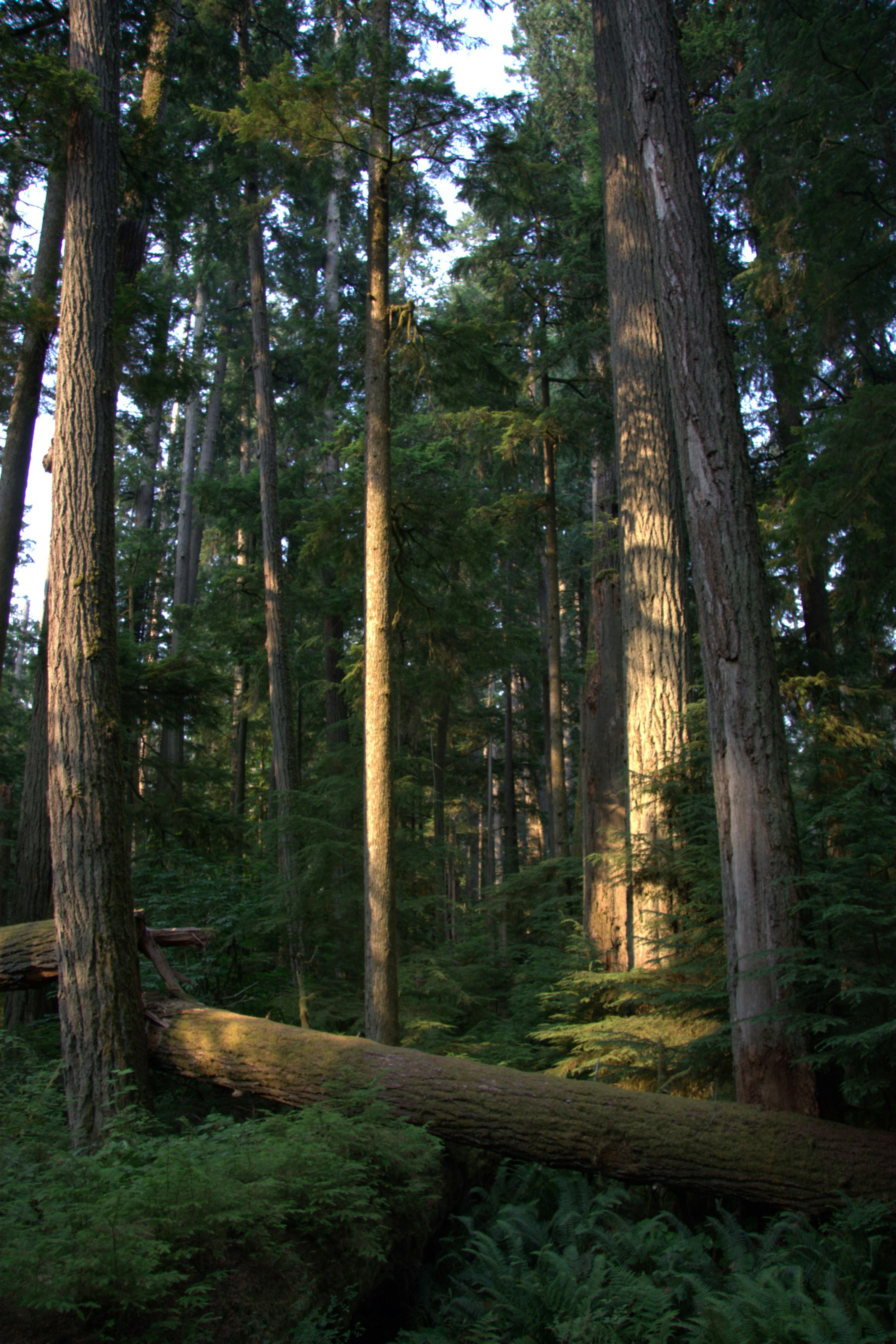 Photo by ernest_boyd