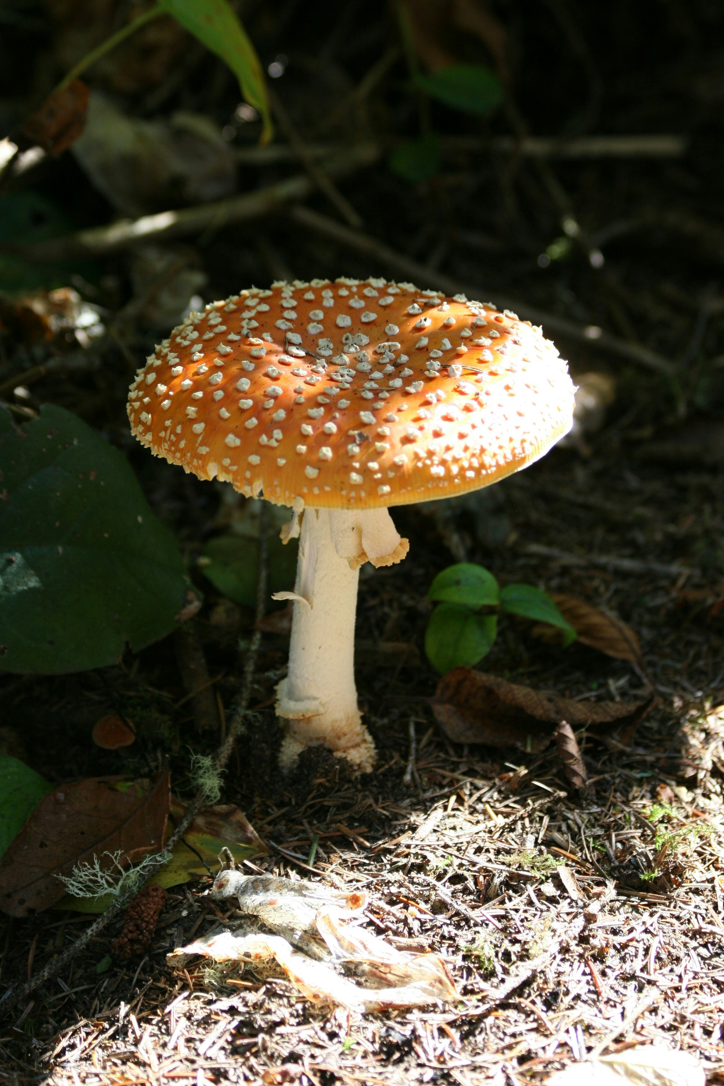 Photo by ernest_boyd