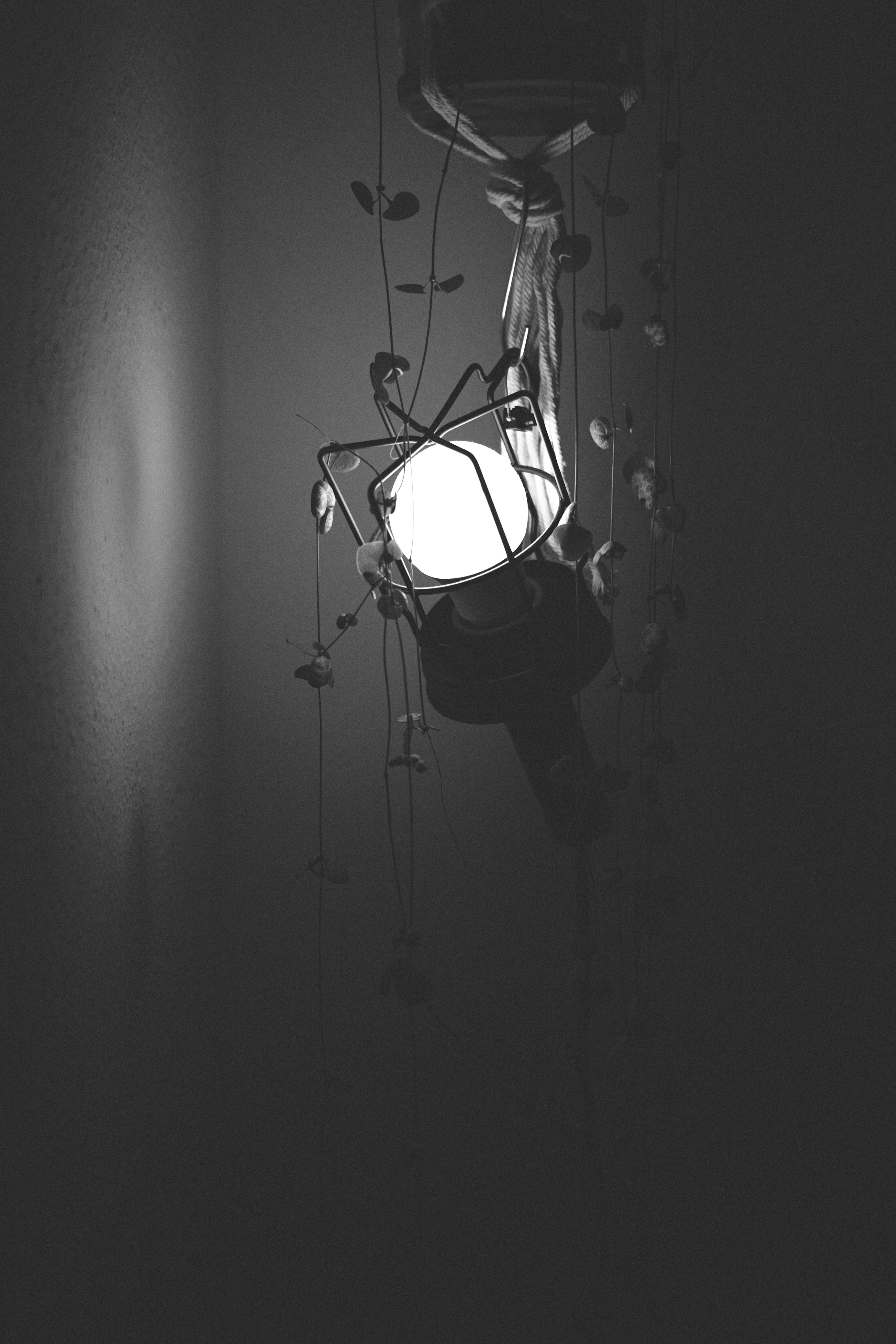 A black and white photo of a light fixture