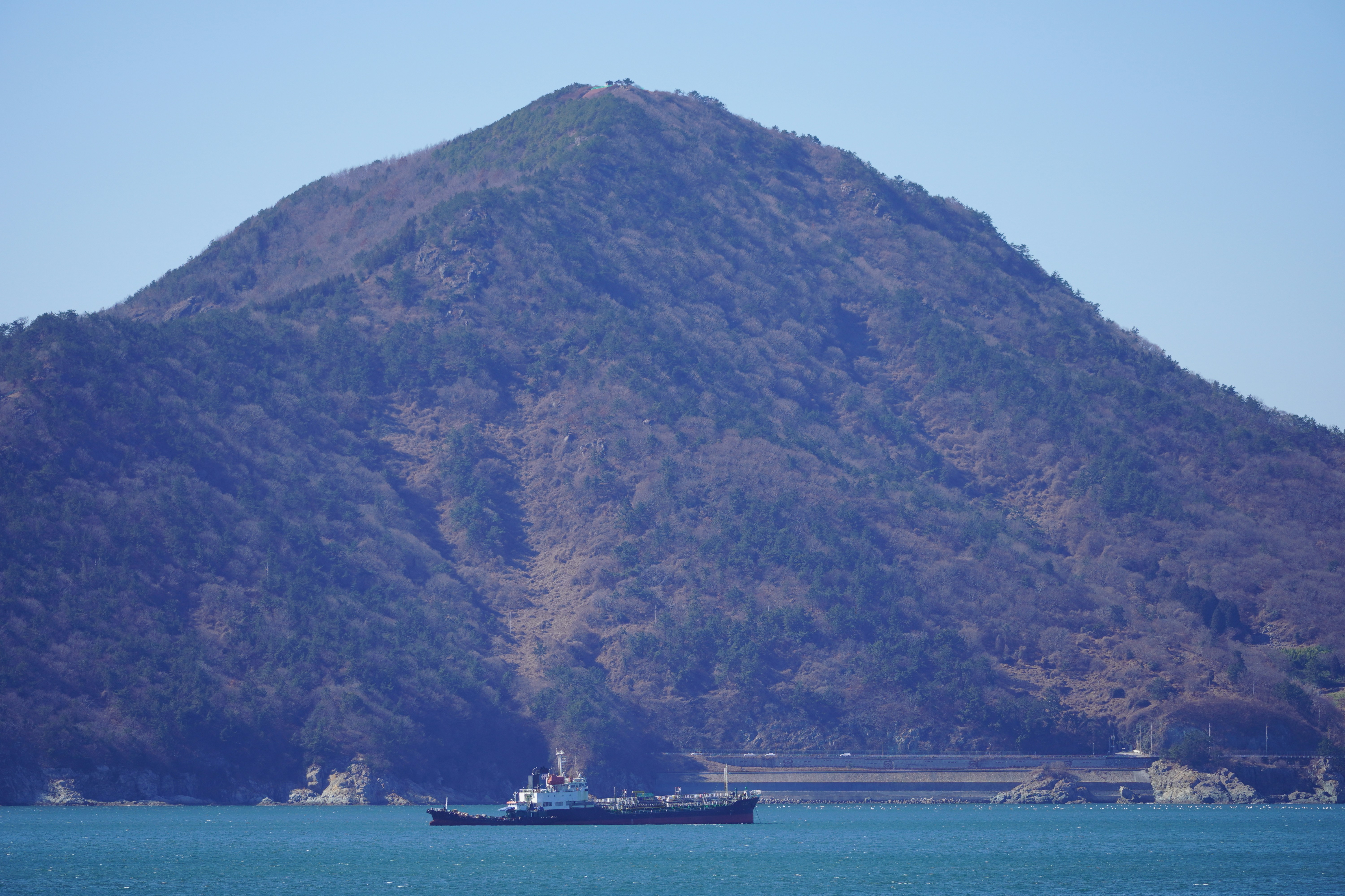 트럼프의 달콤한 한 마디 '한국 사랑해'... 그런데 이게 진짜 진심일까?