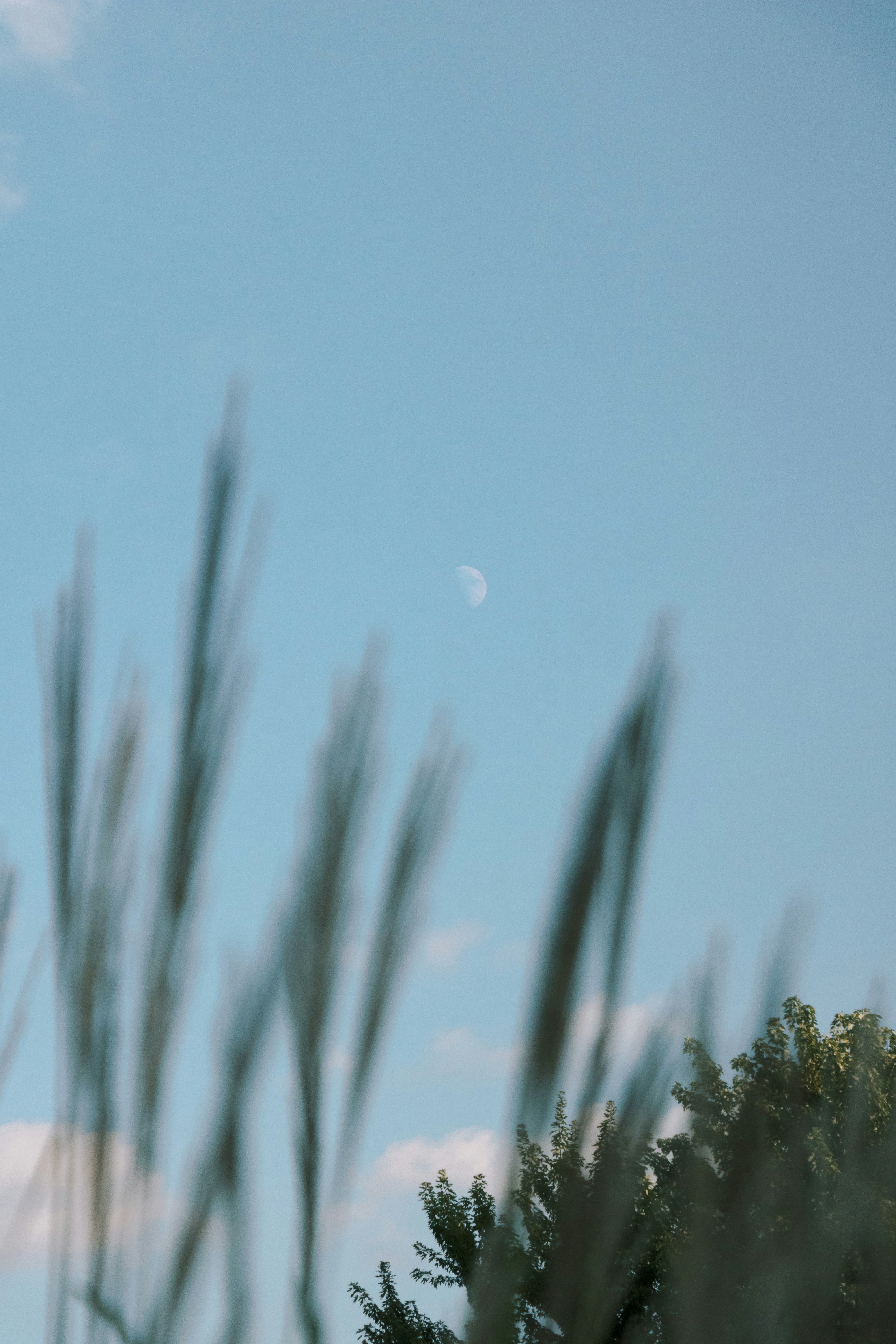 Photo by eleanorefiore