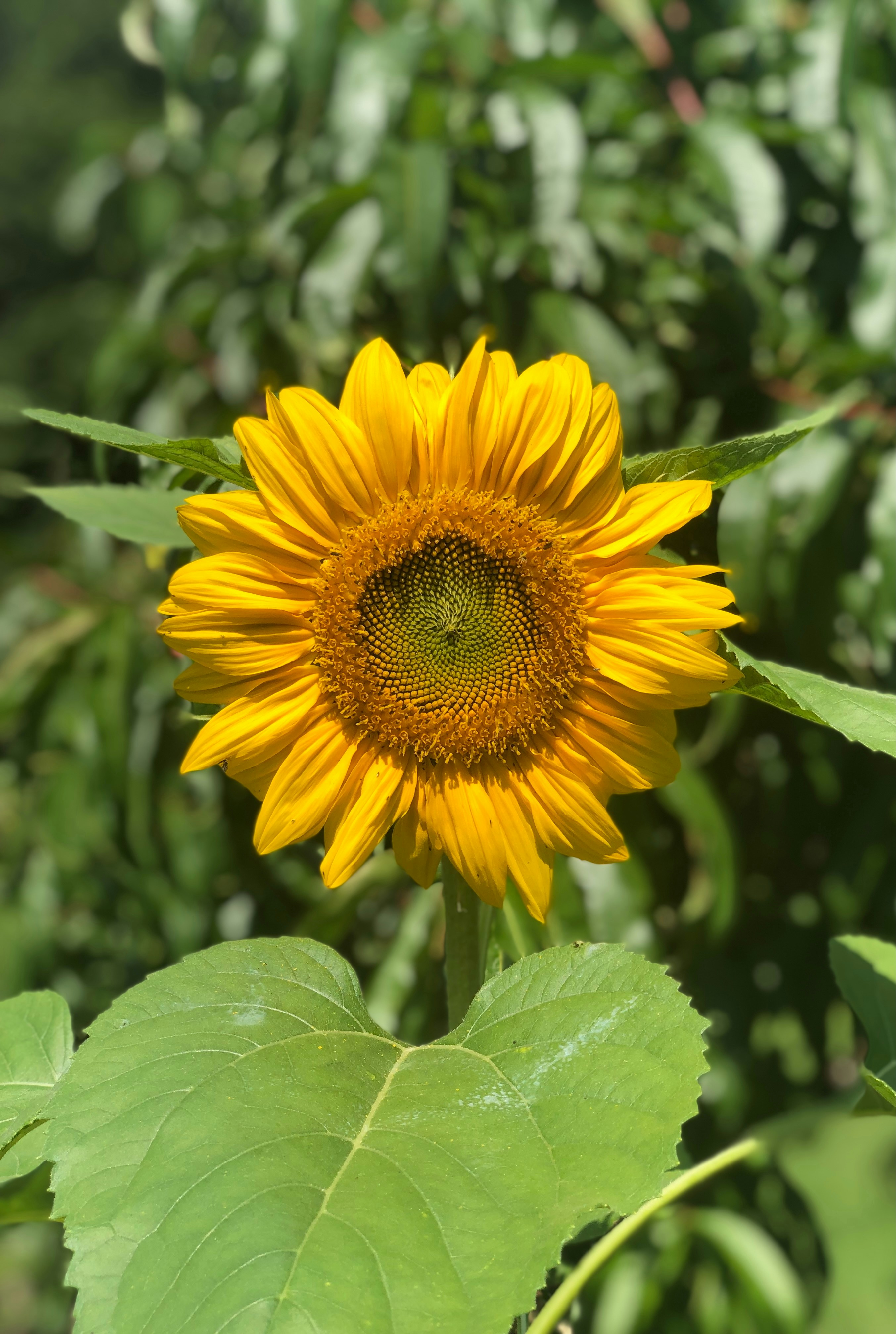 Photo by brooke_hansley_photography