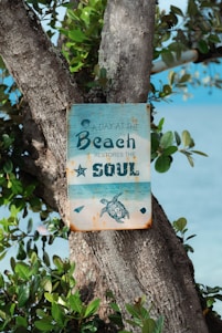 A sign that is hanging on a tree