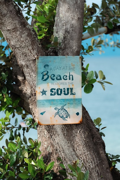 A sign that is hanging on a tree