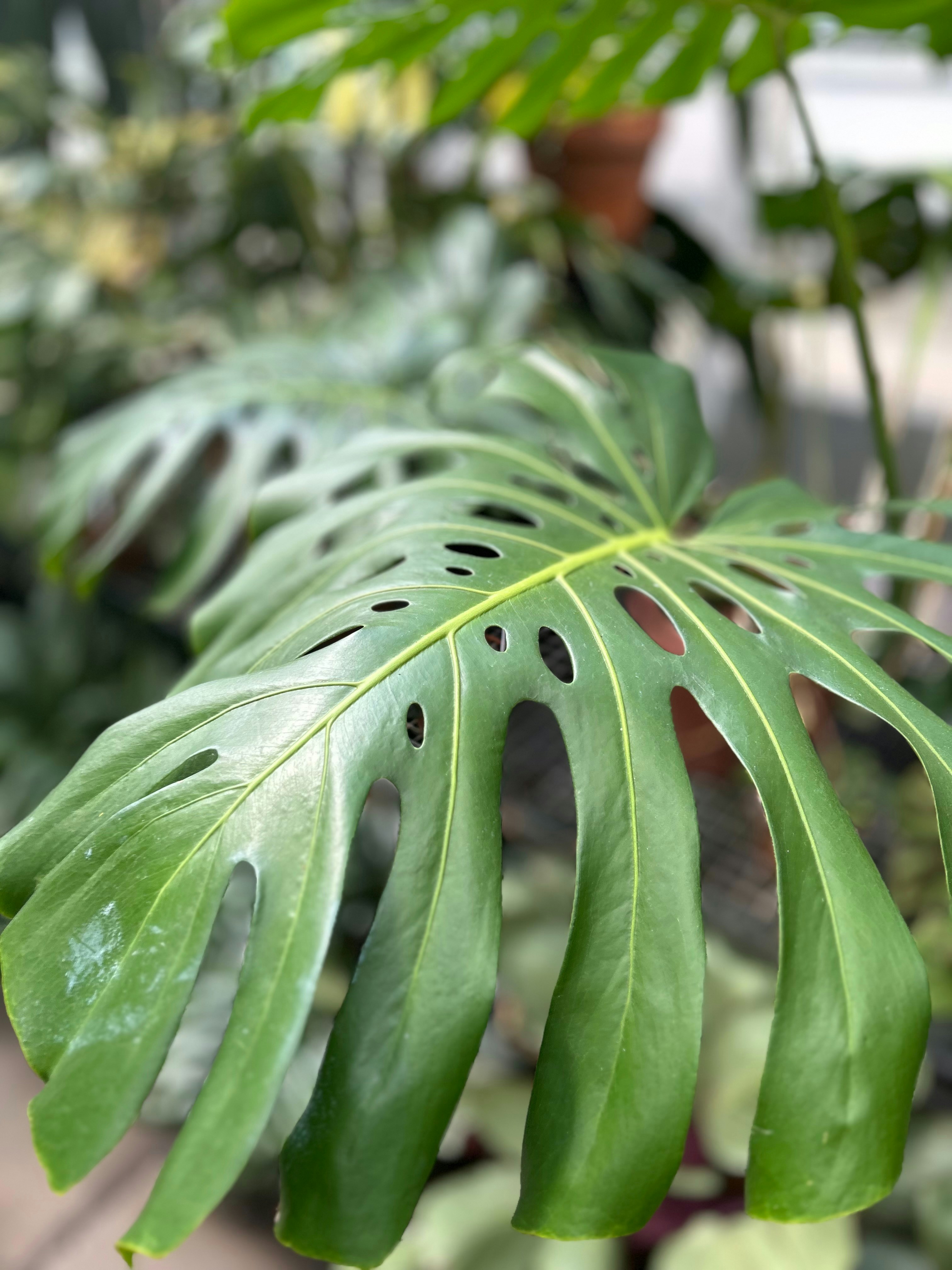 Photo by brooke_hansley_photography