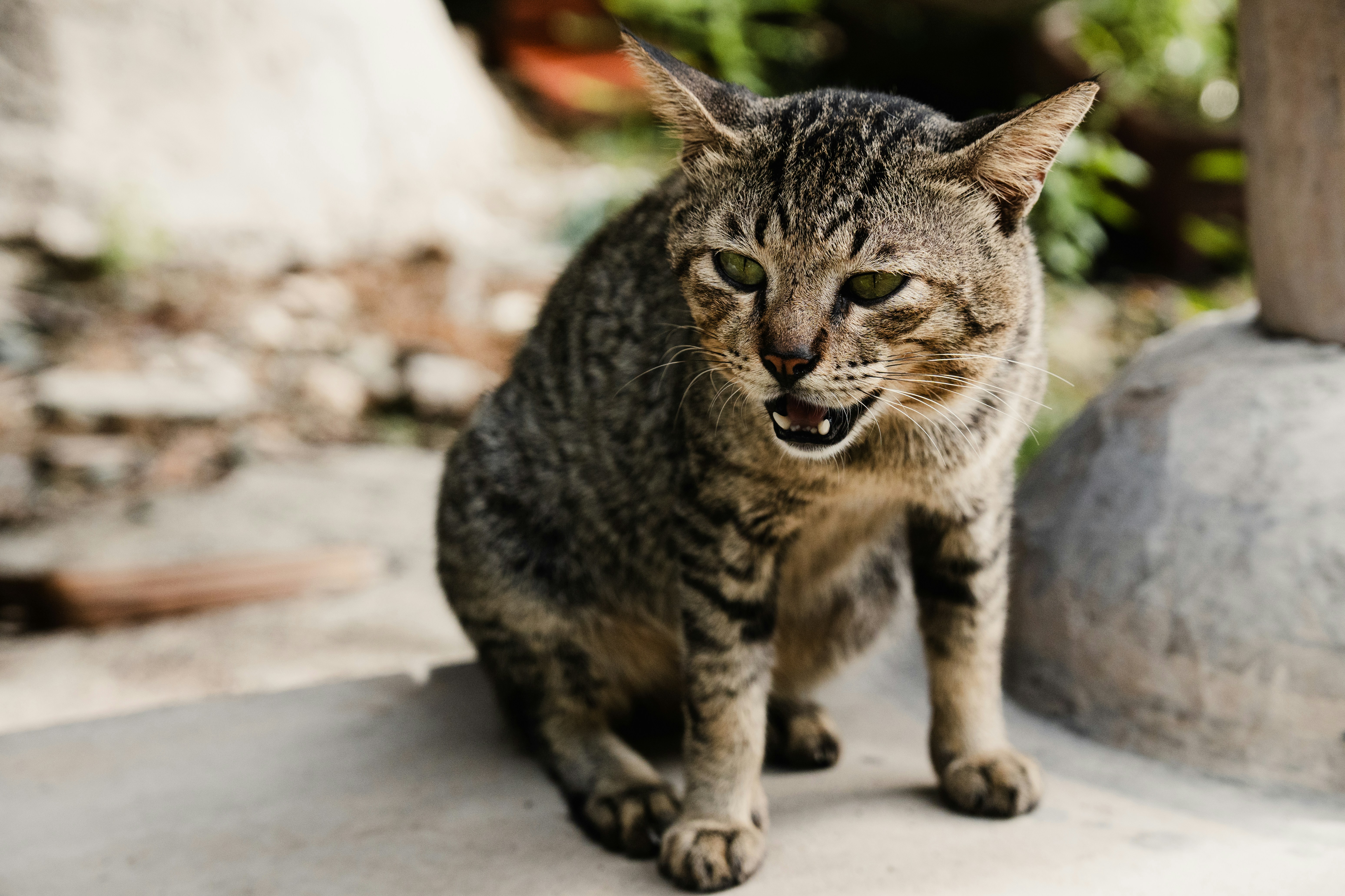 Photo by jan_ledermann