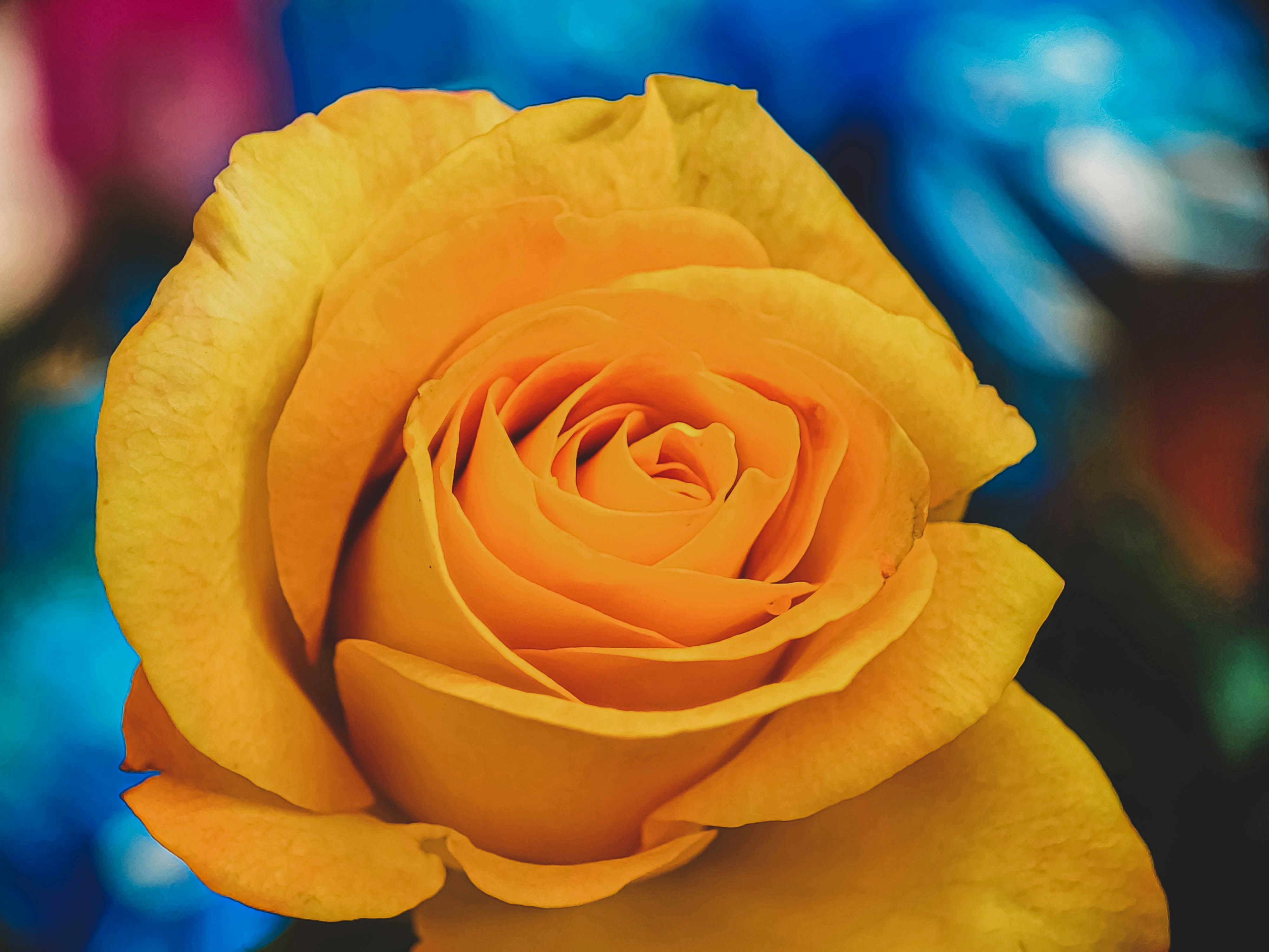 Photo by kolkatarchobiwala