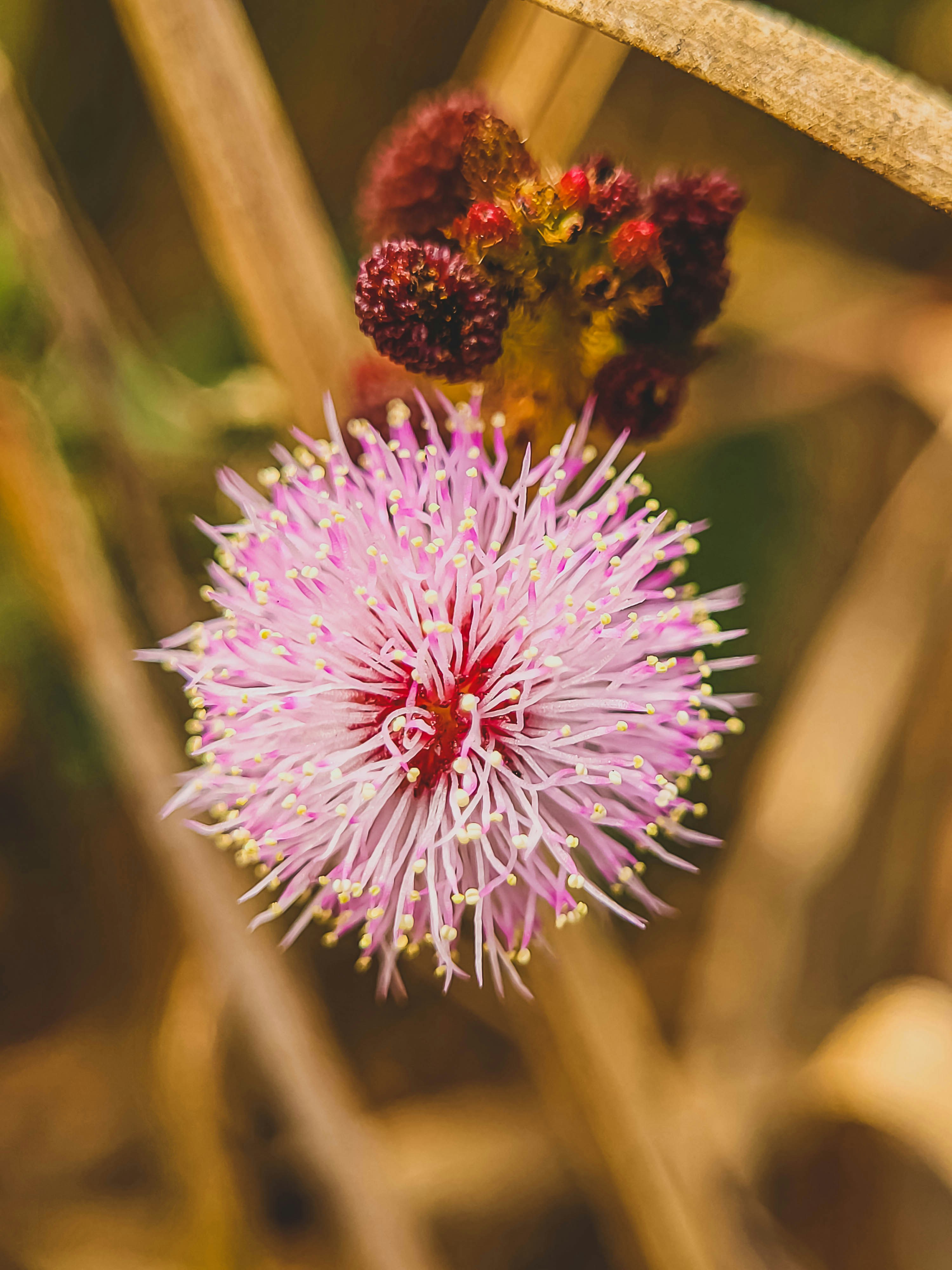 Photo by kolkatarchobiwala