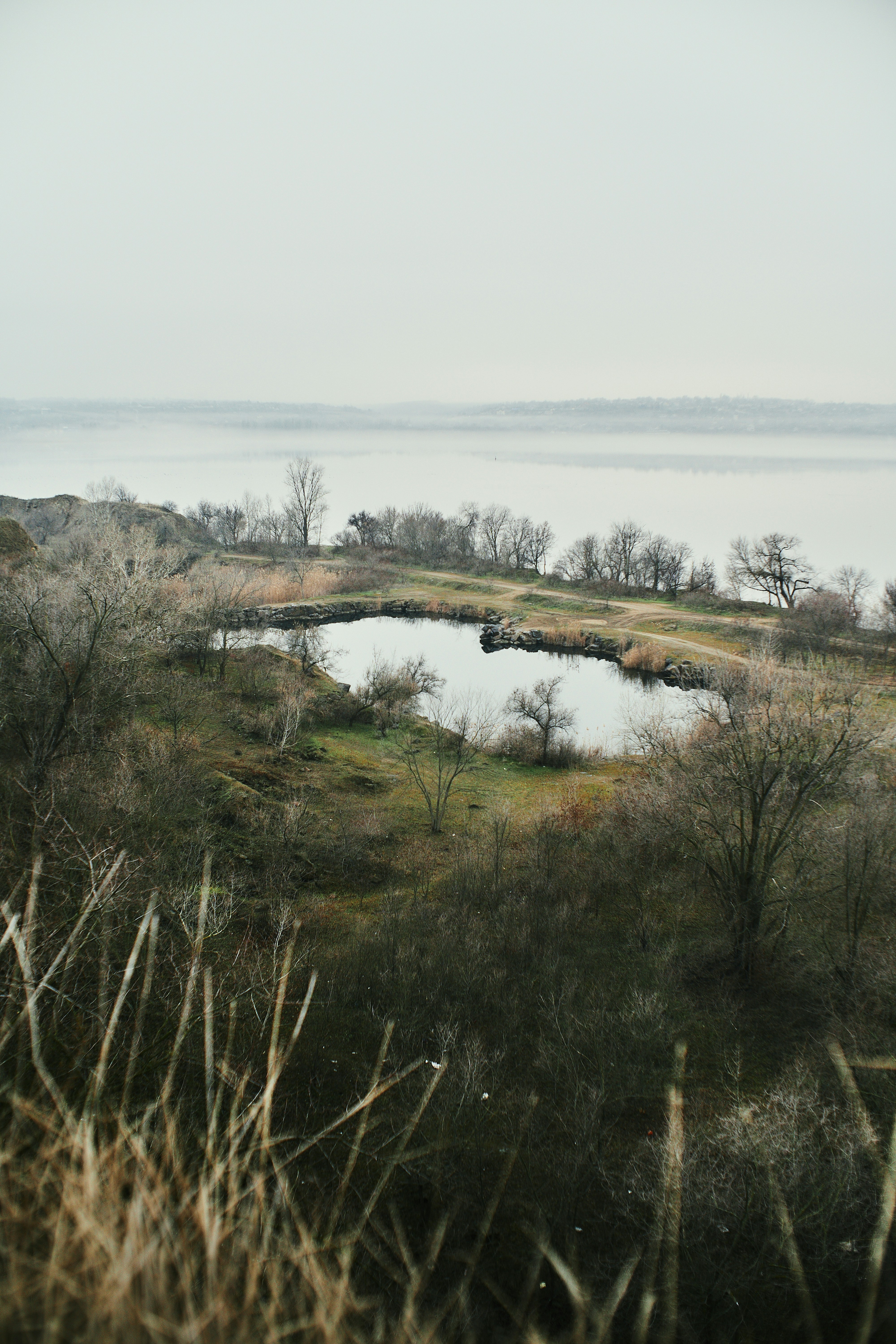 A small pond surrounded by tall grass and trees