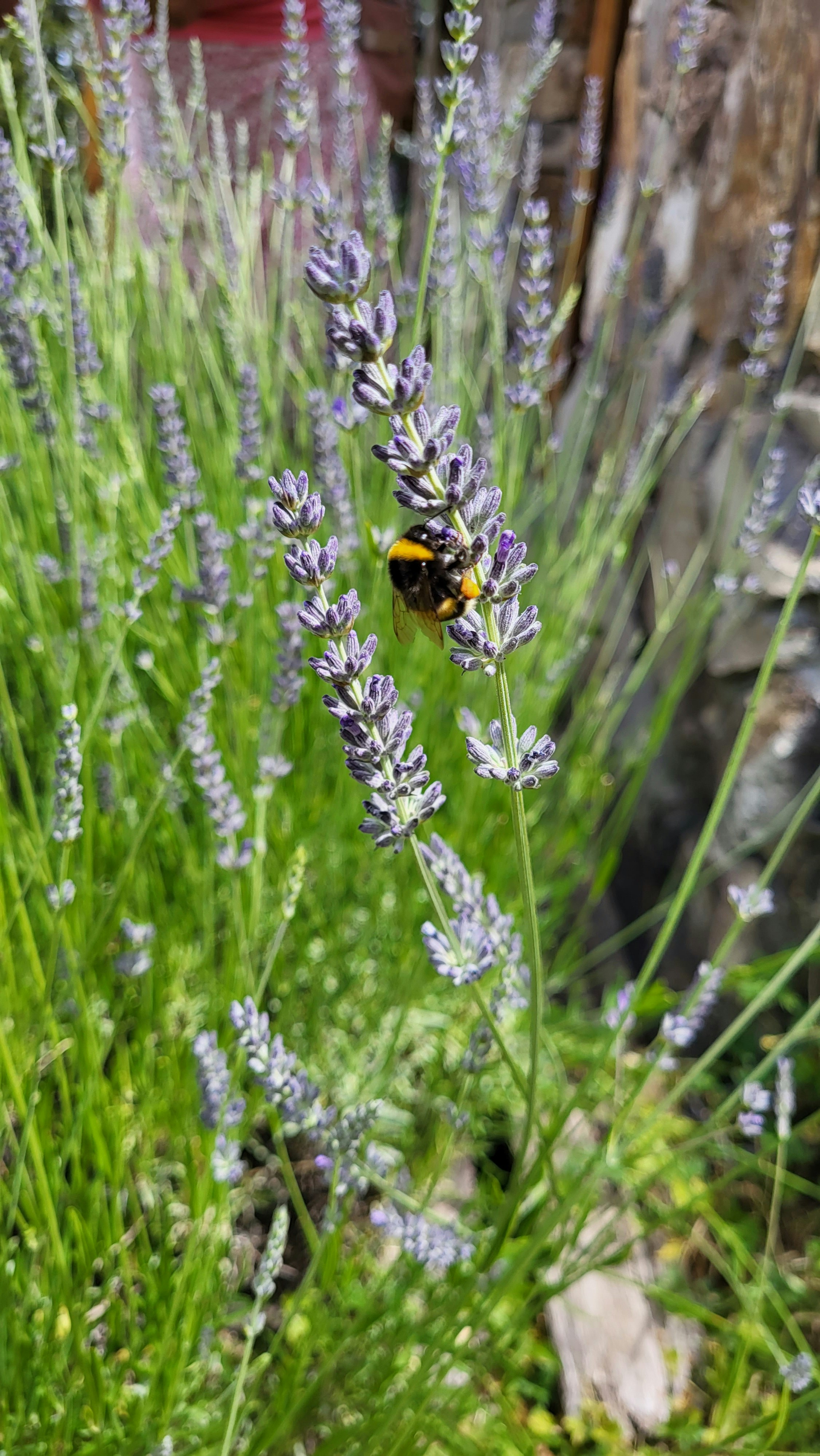 Photo by bellecastillo