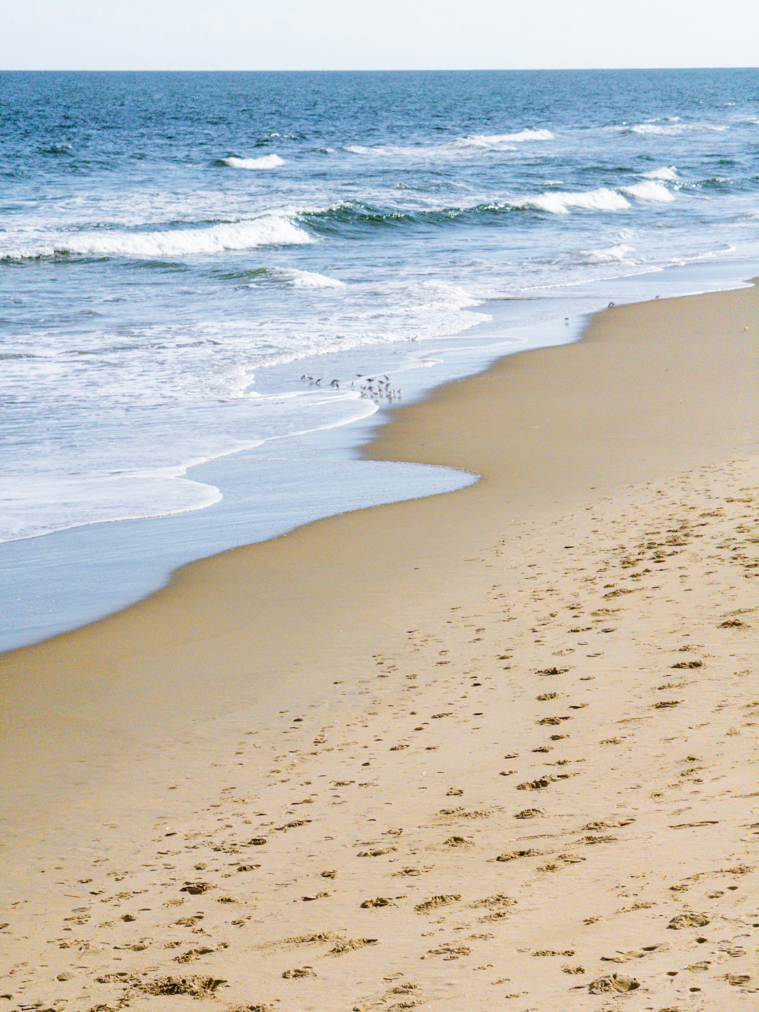 Photo by nicolebomar