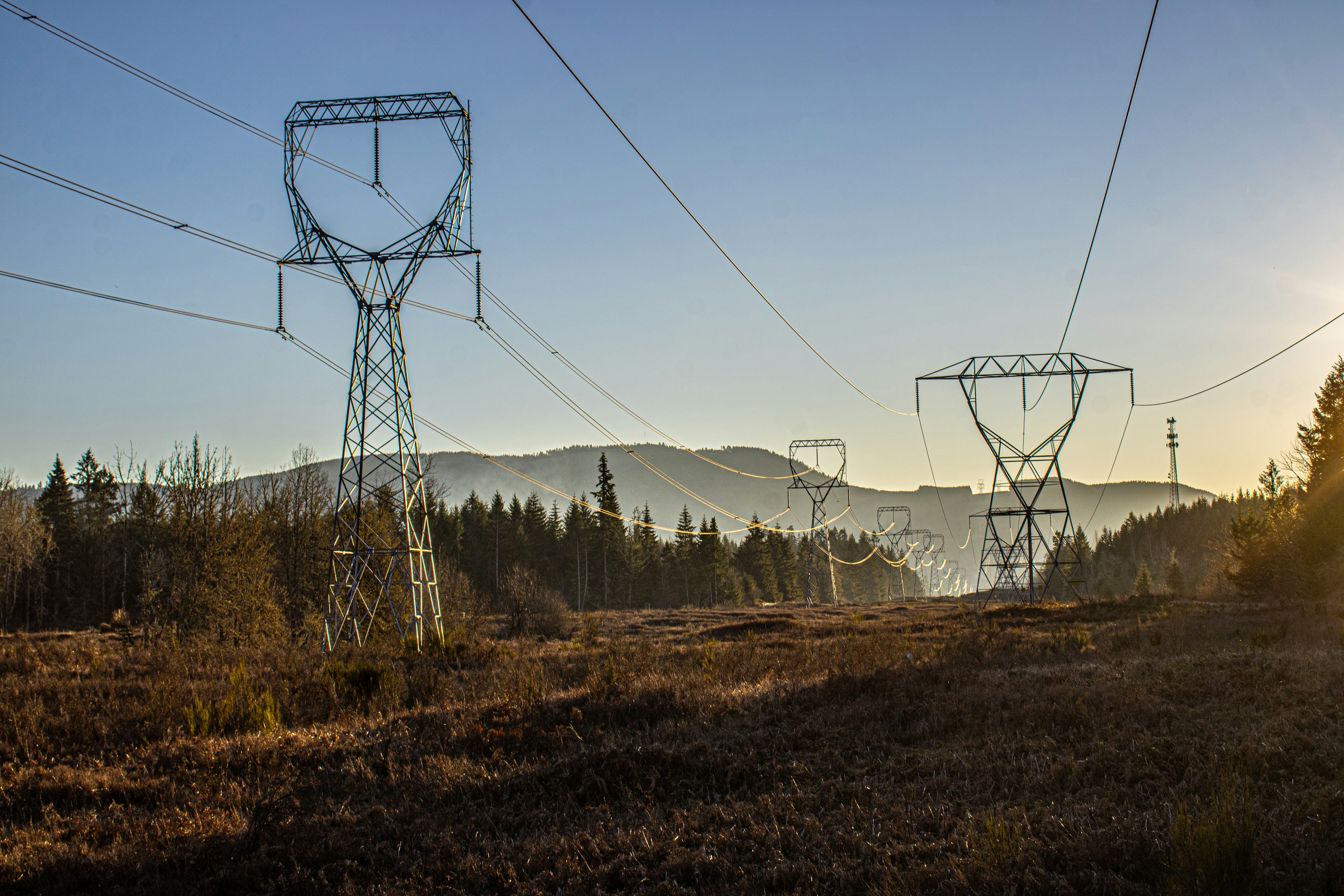 Woodside Energy Releases Third Quarter Report for Period Ended 30 September 2025