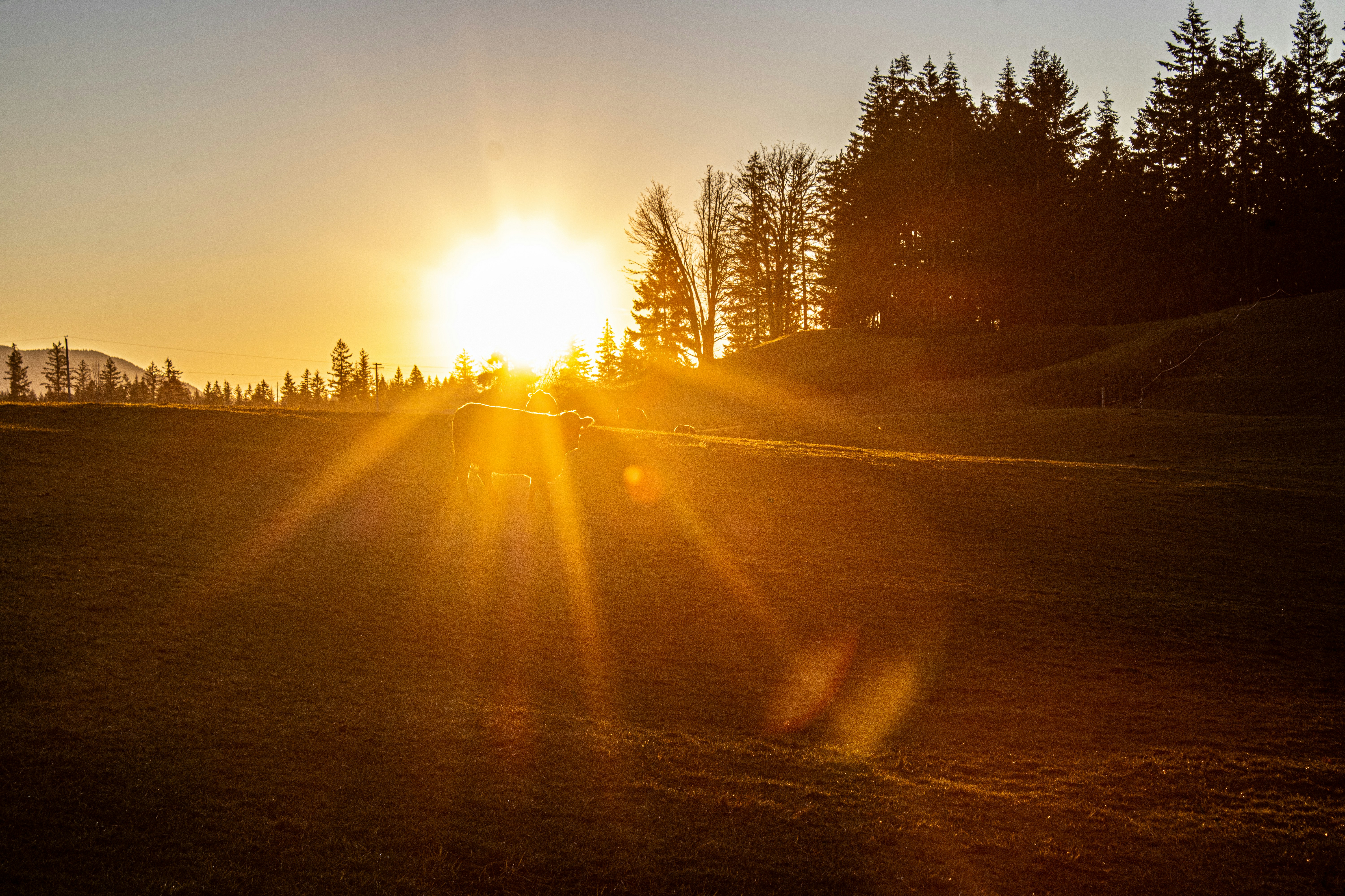 Photo by prphotography262