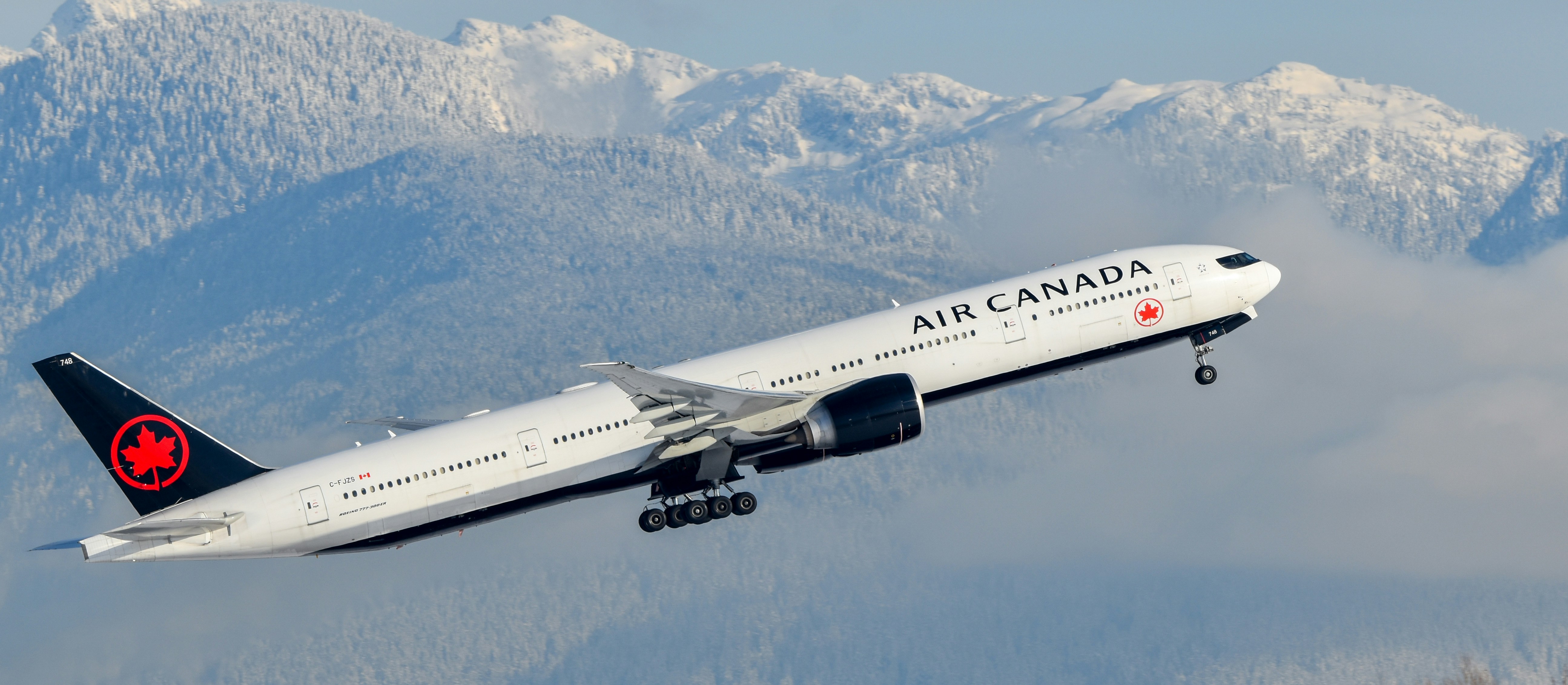 曇り空の中を飛ぶ大型ジェット旅客機