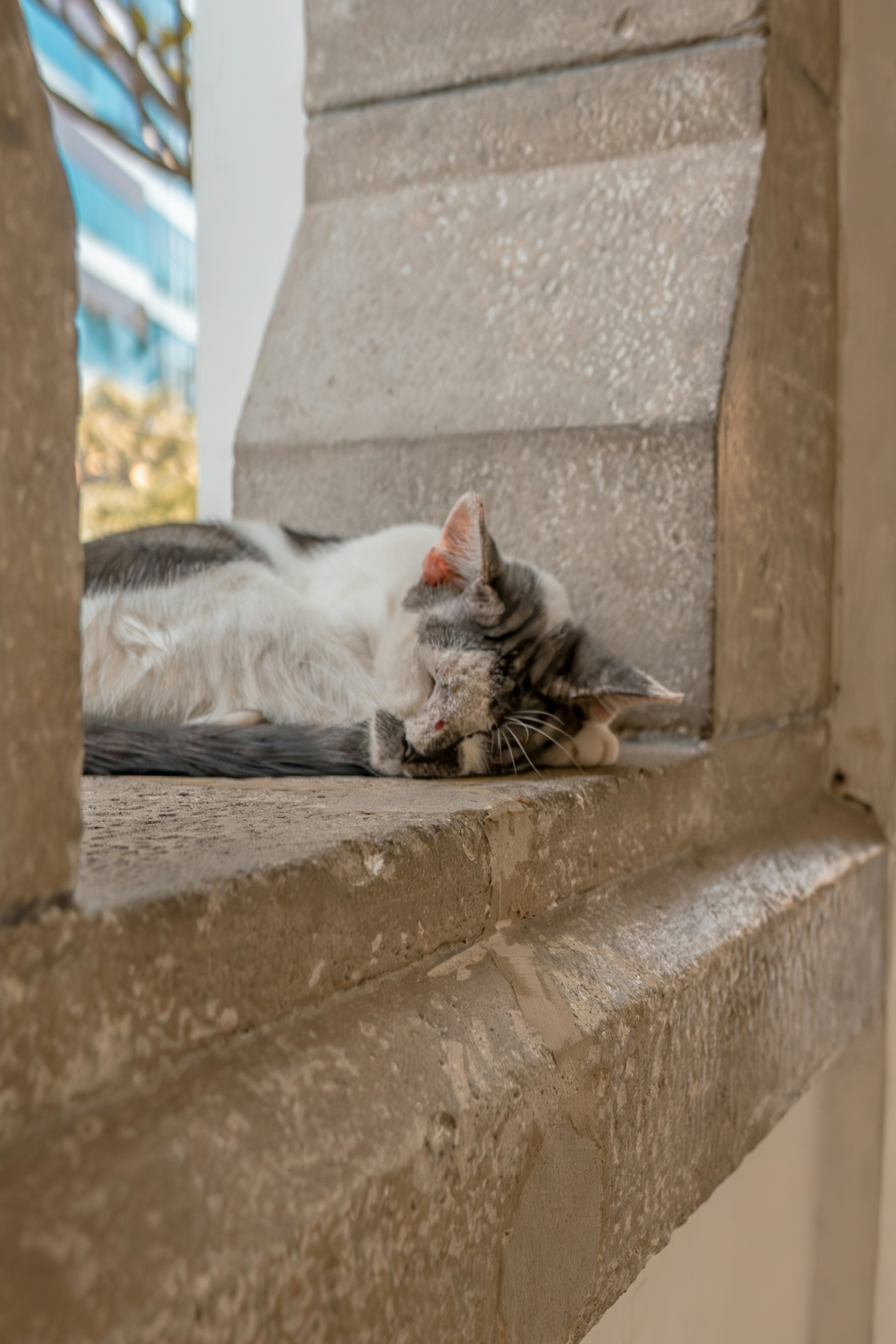 Photo by gosoundmitch