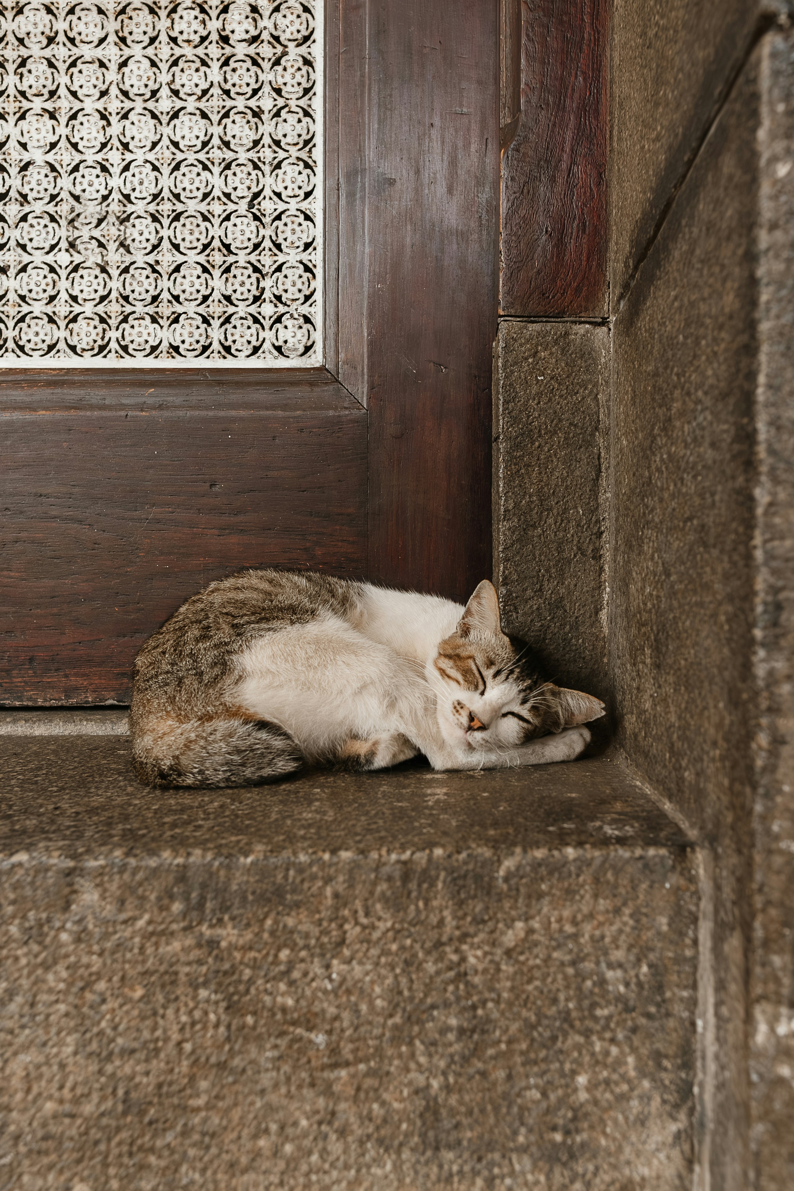 Photo by gosoundmitch