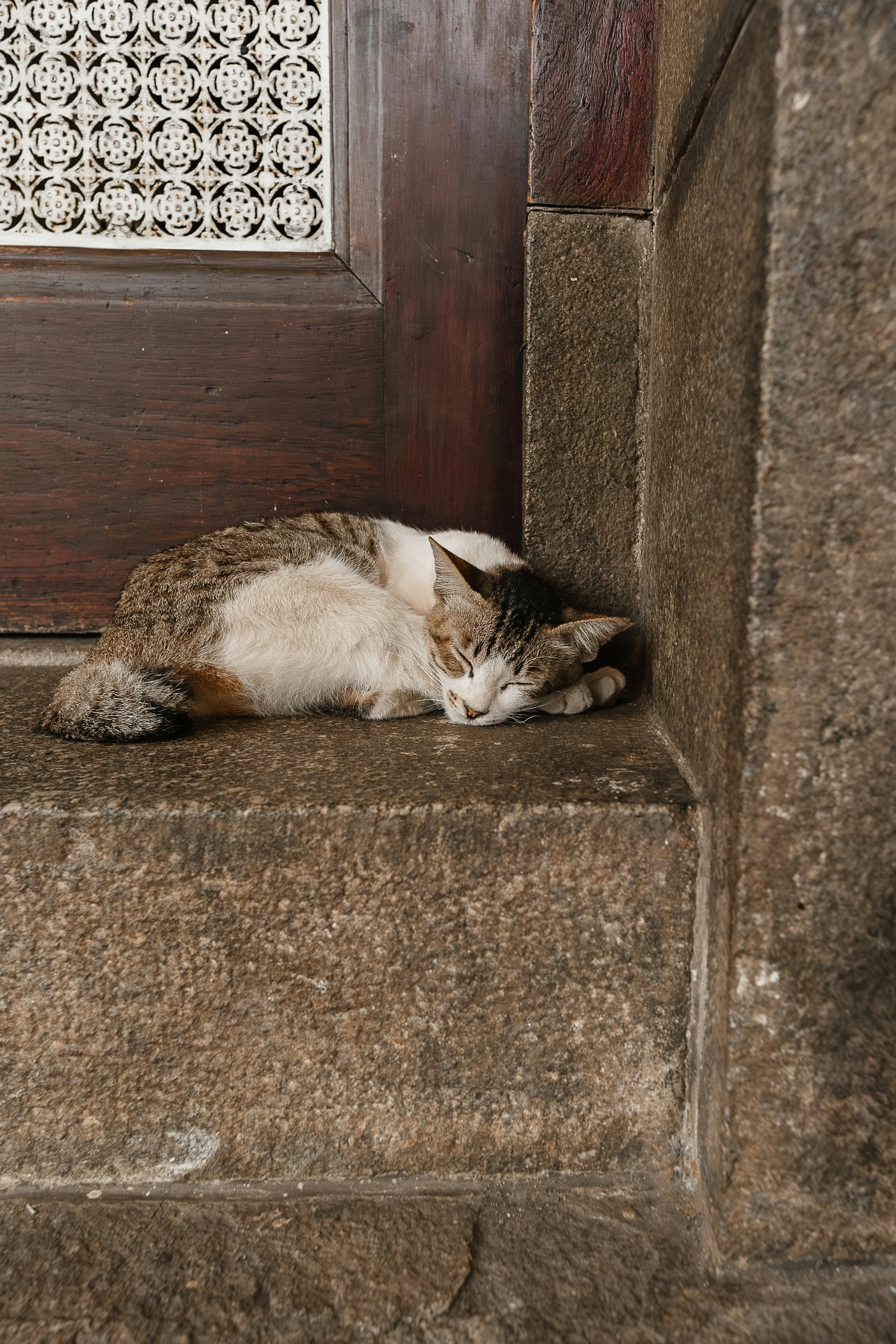 Photo by gosoundmitch