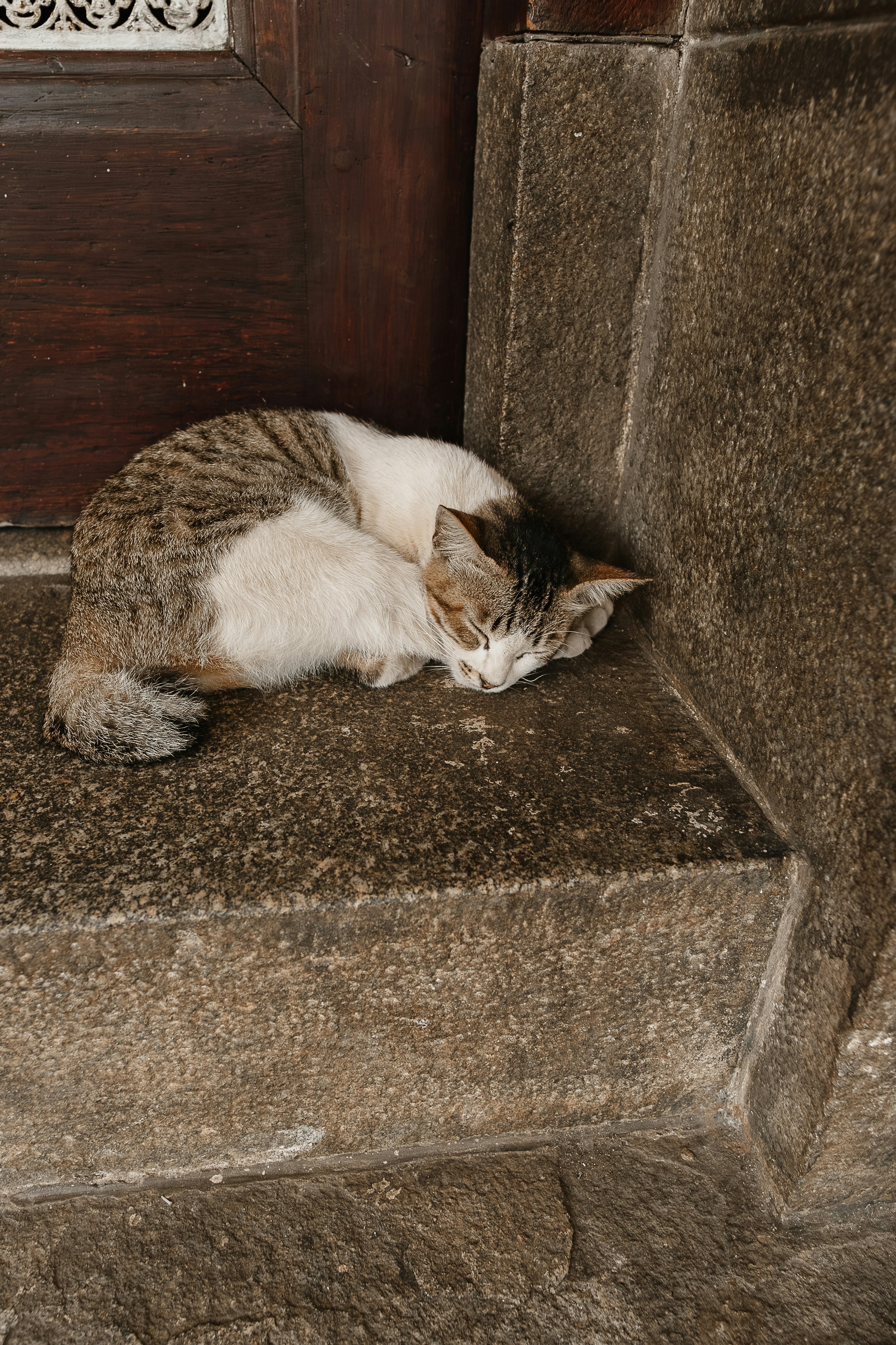 Photo by gosoundmitch