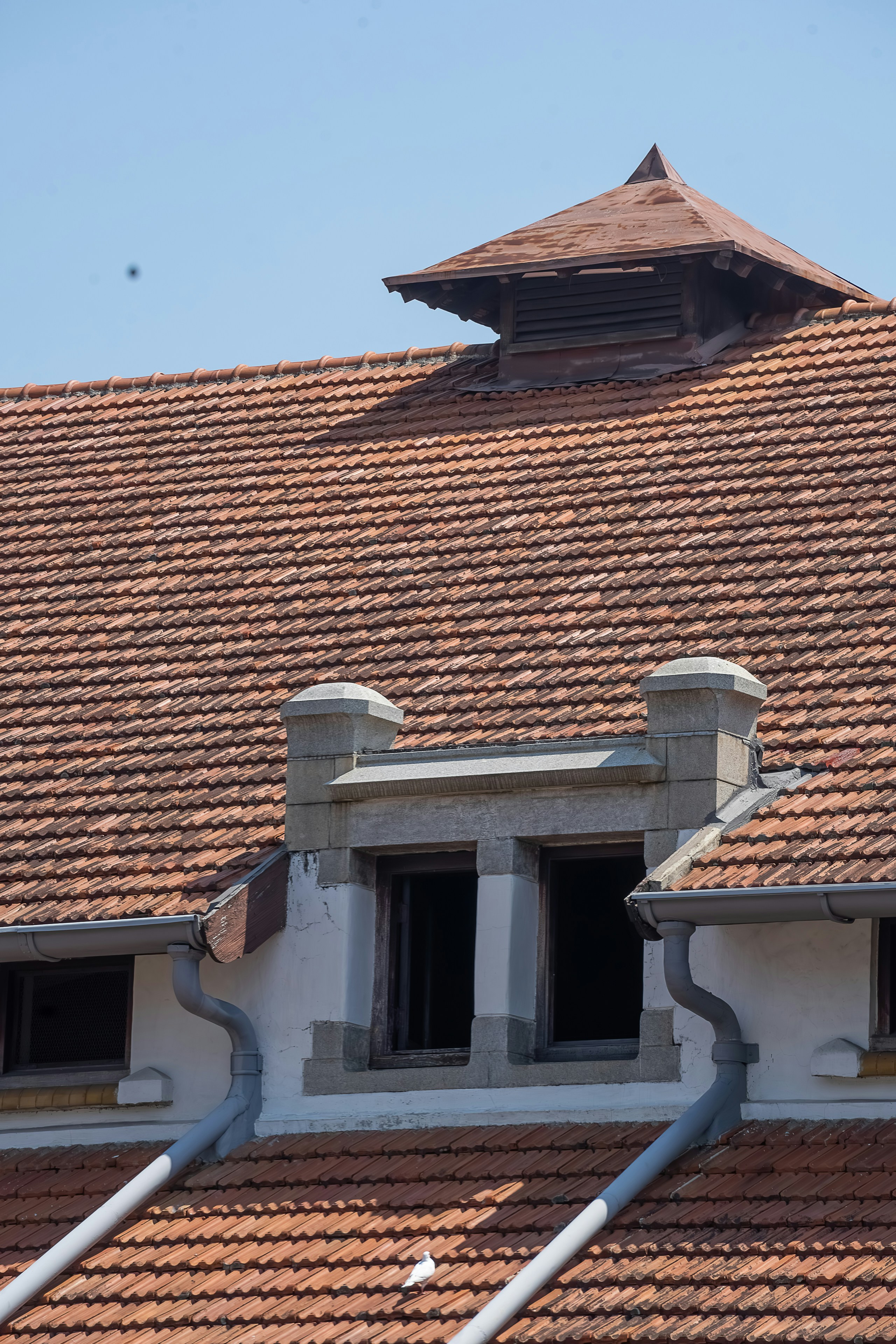 Photo by gosoundmitch