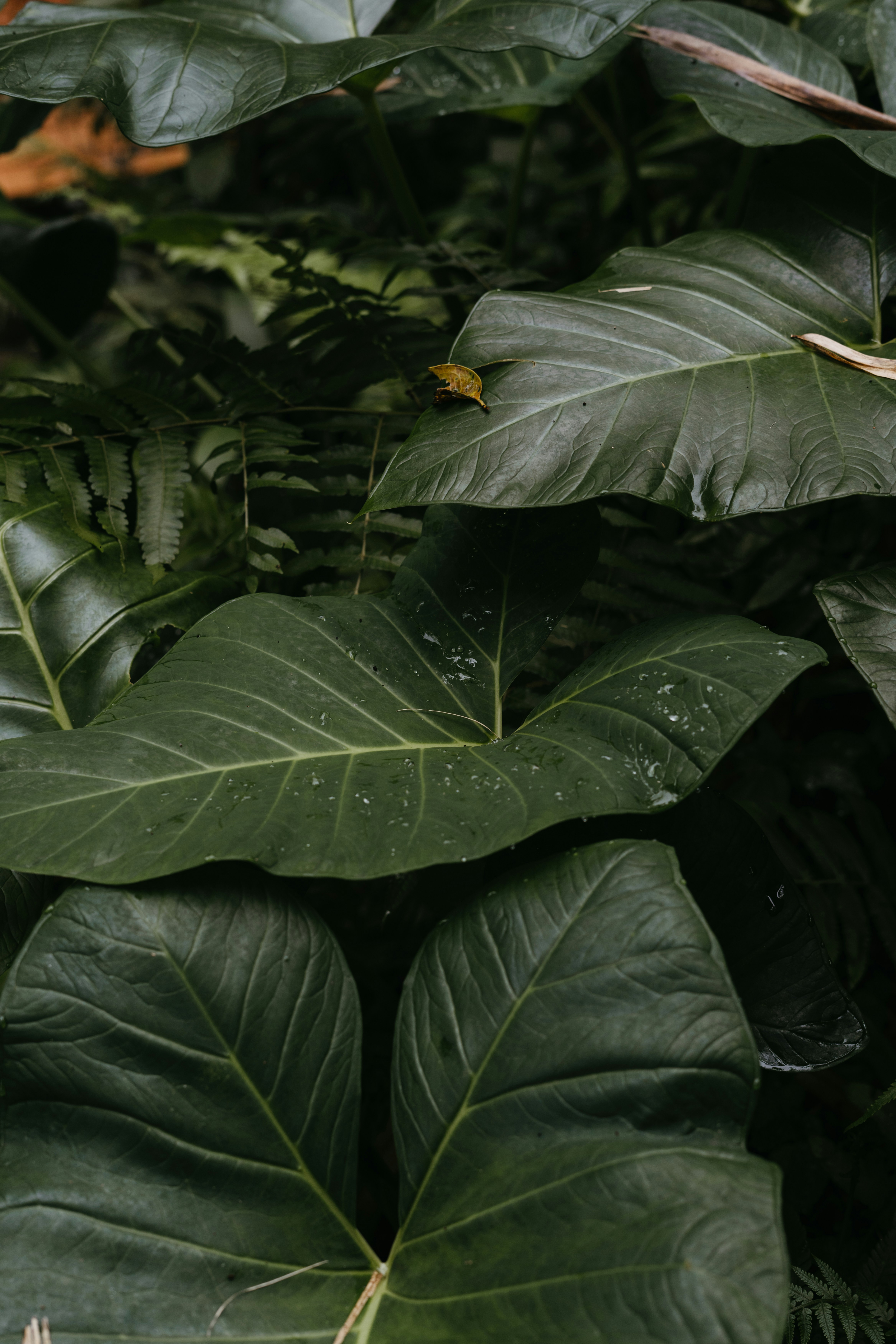 Photo by p_kuzovkova