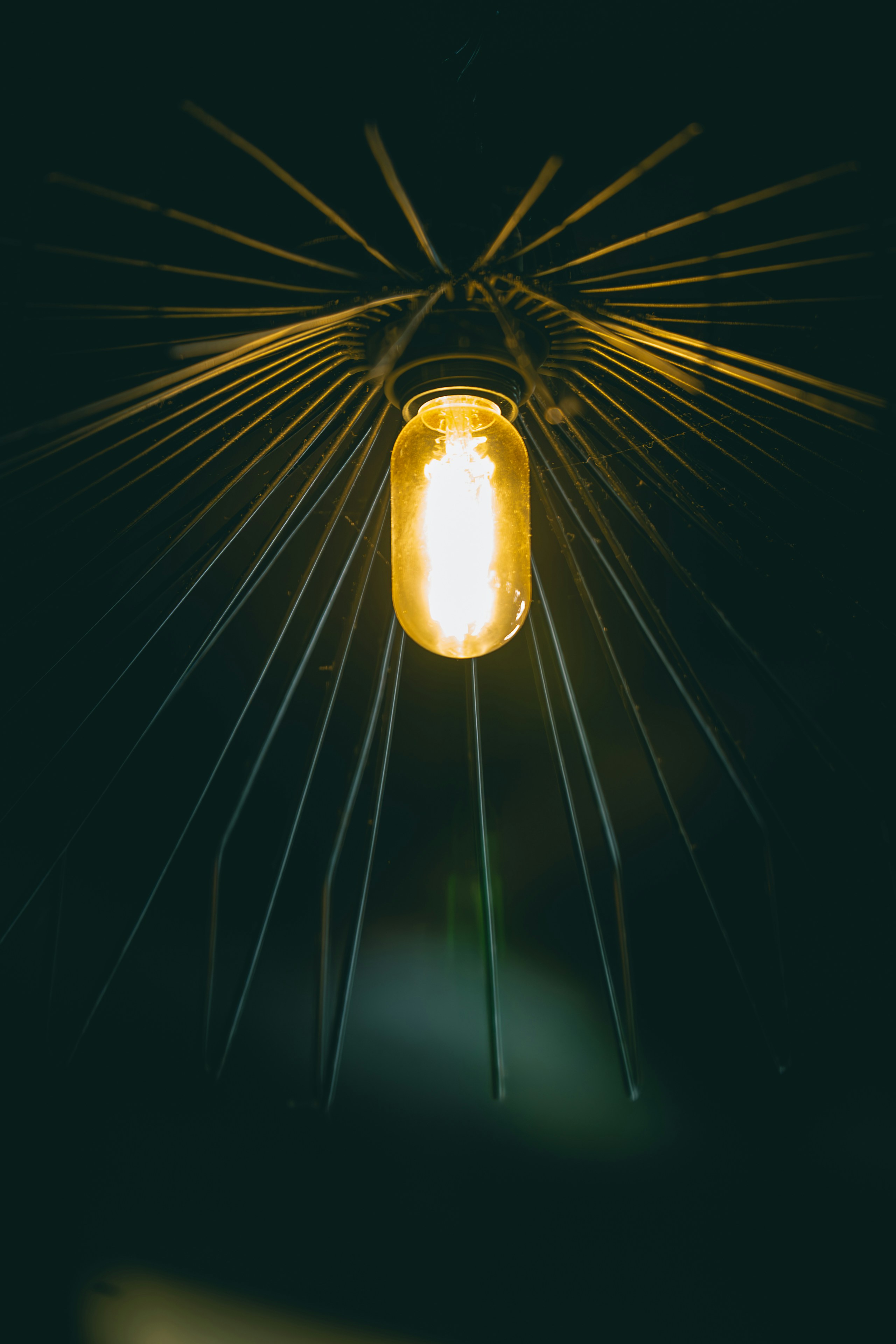 Photo by gosoundmitch