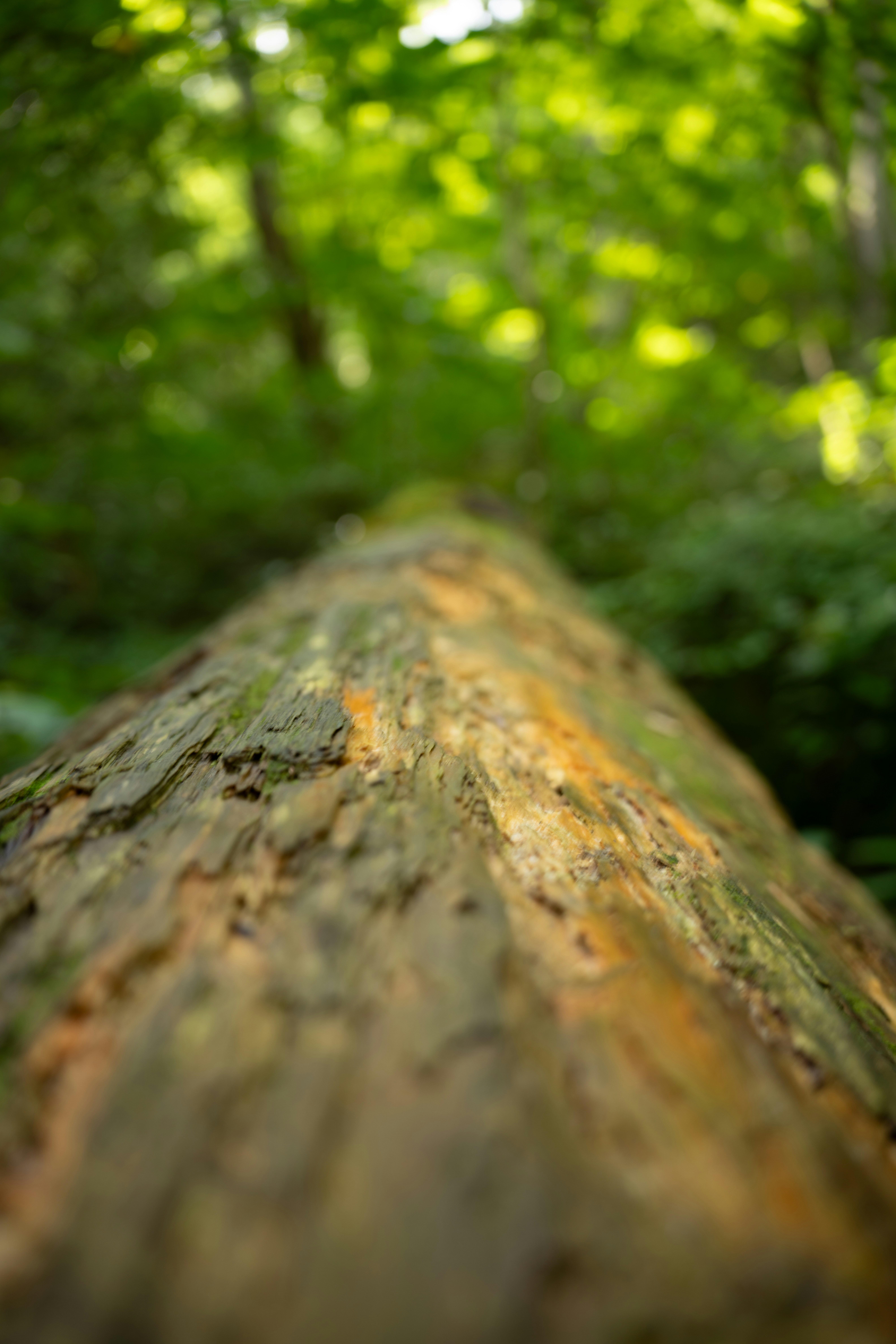 Photo by jaychayproductions