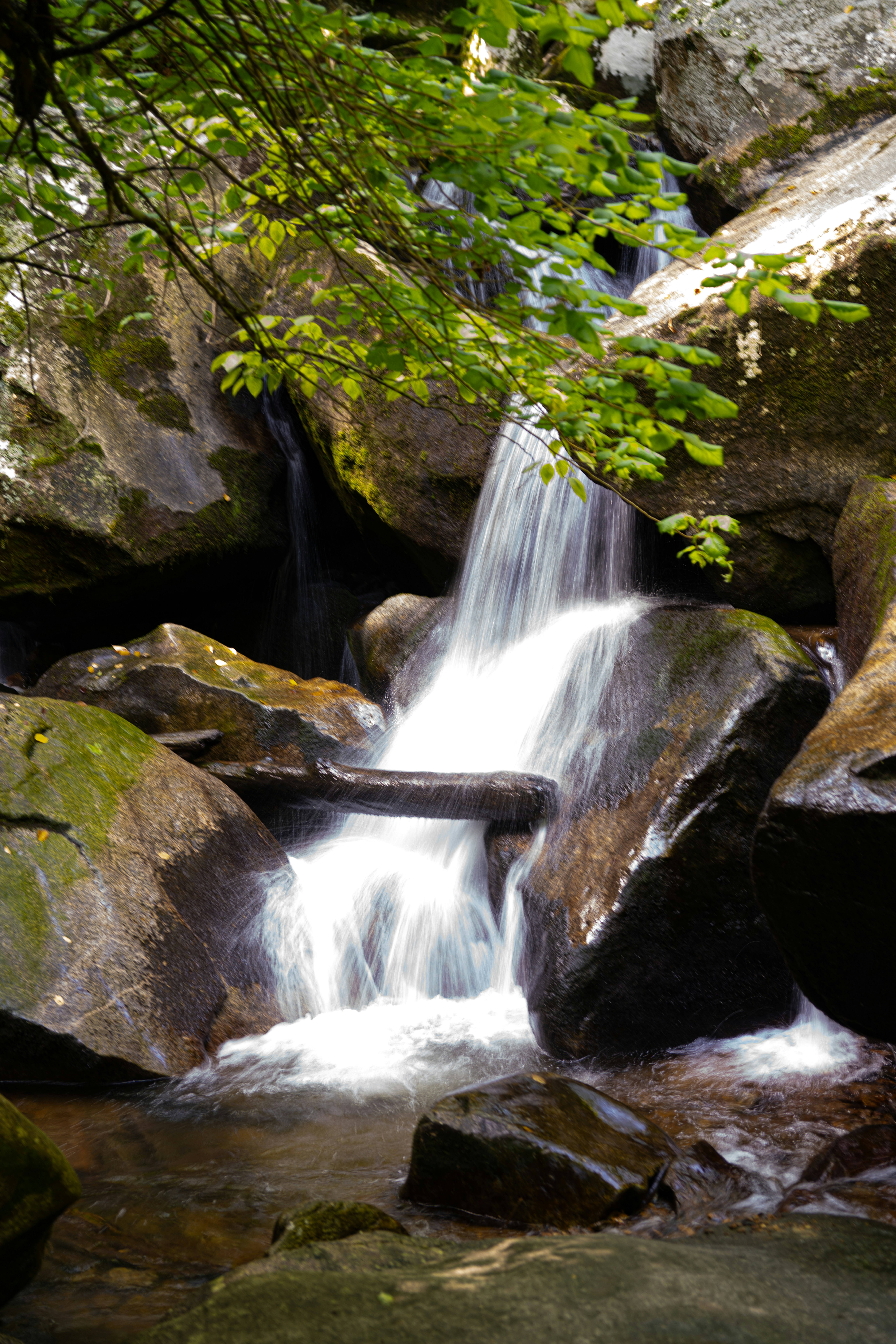 Photo by jaychayproductions