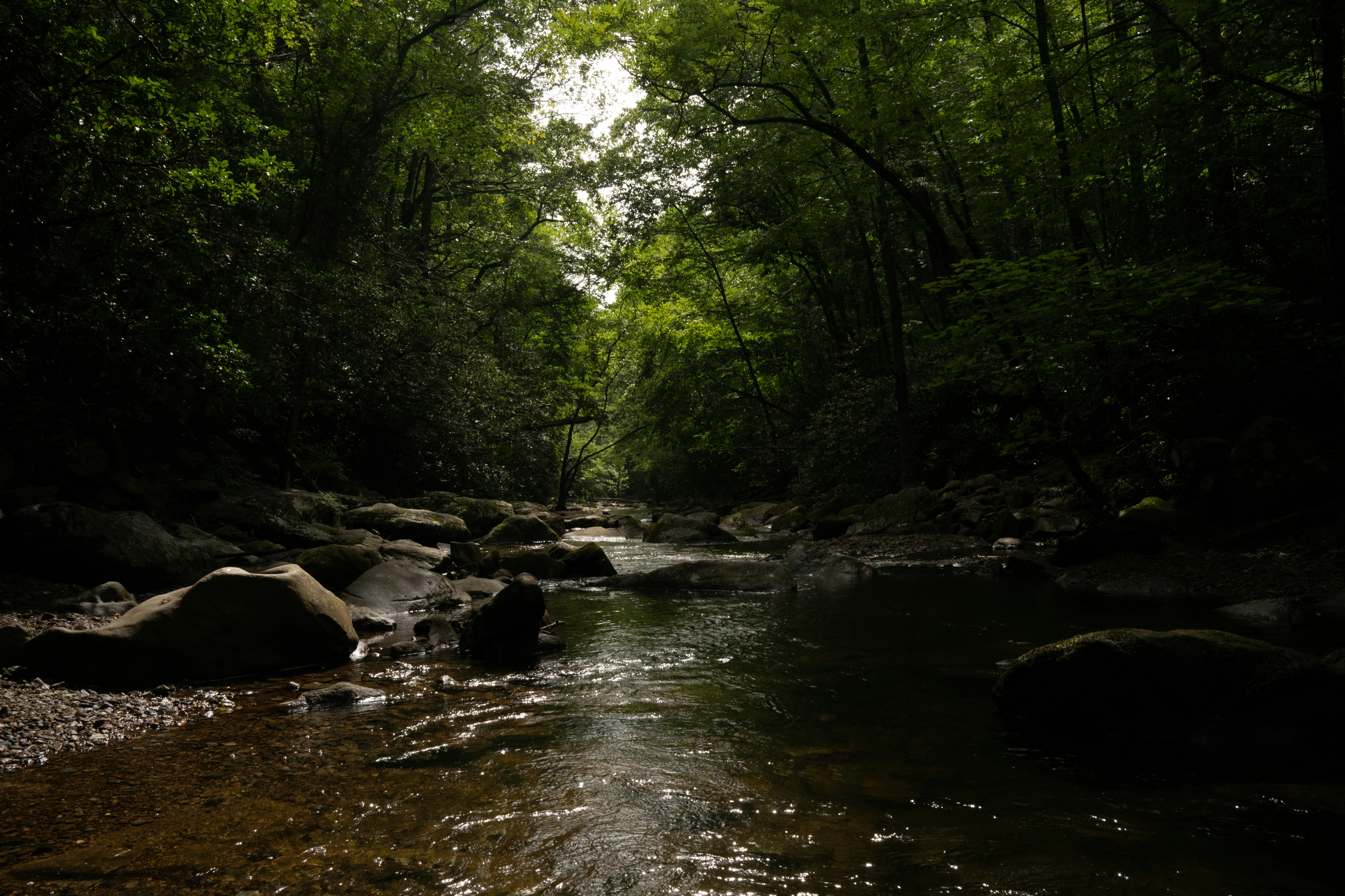 Photo by jaychayproductions