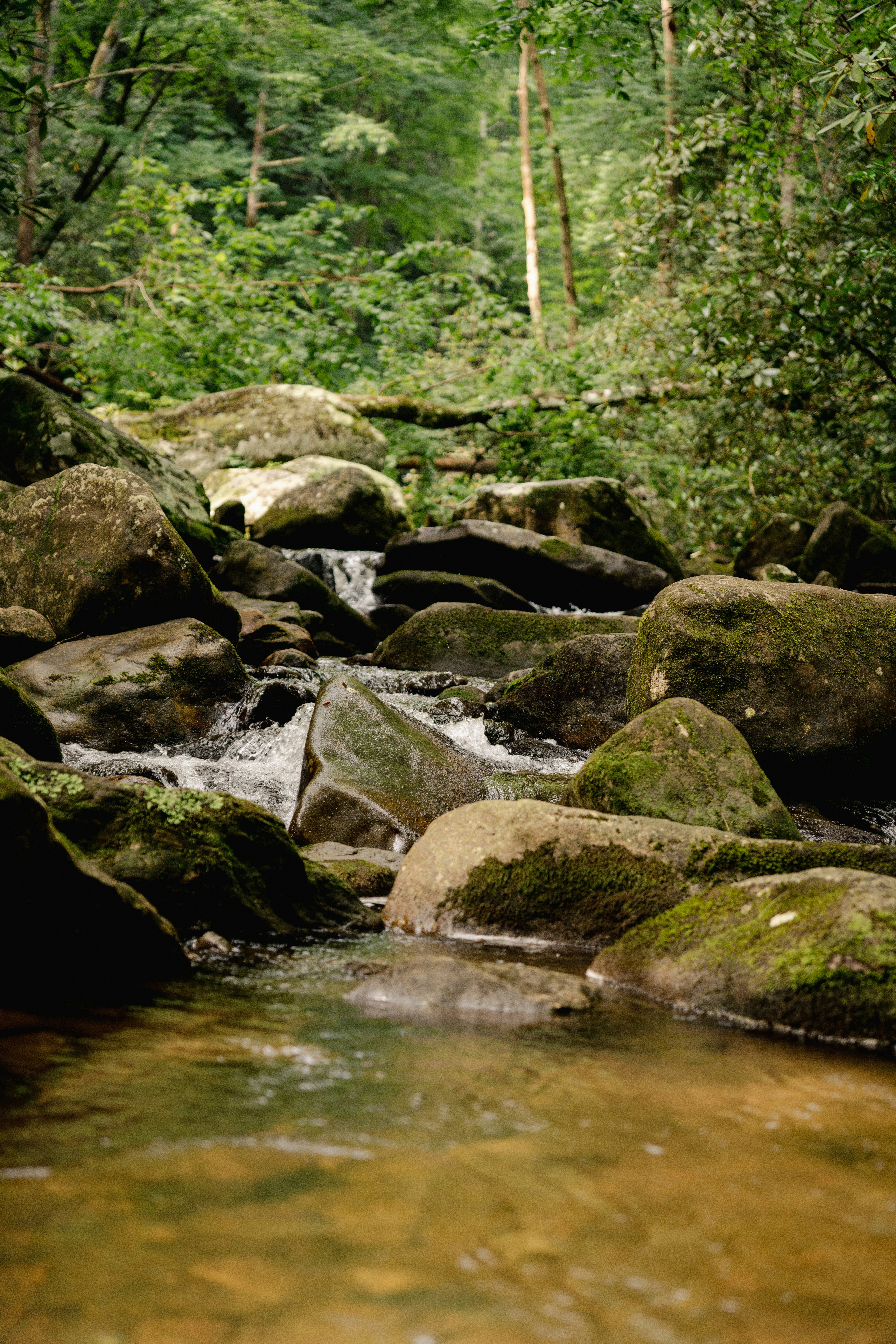 Photo by jaychayproductions